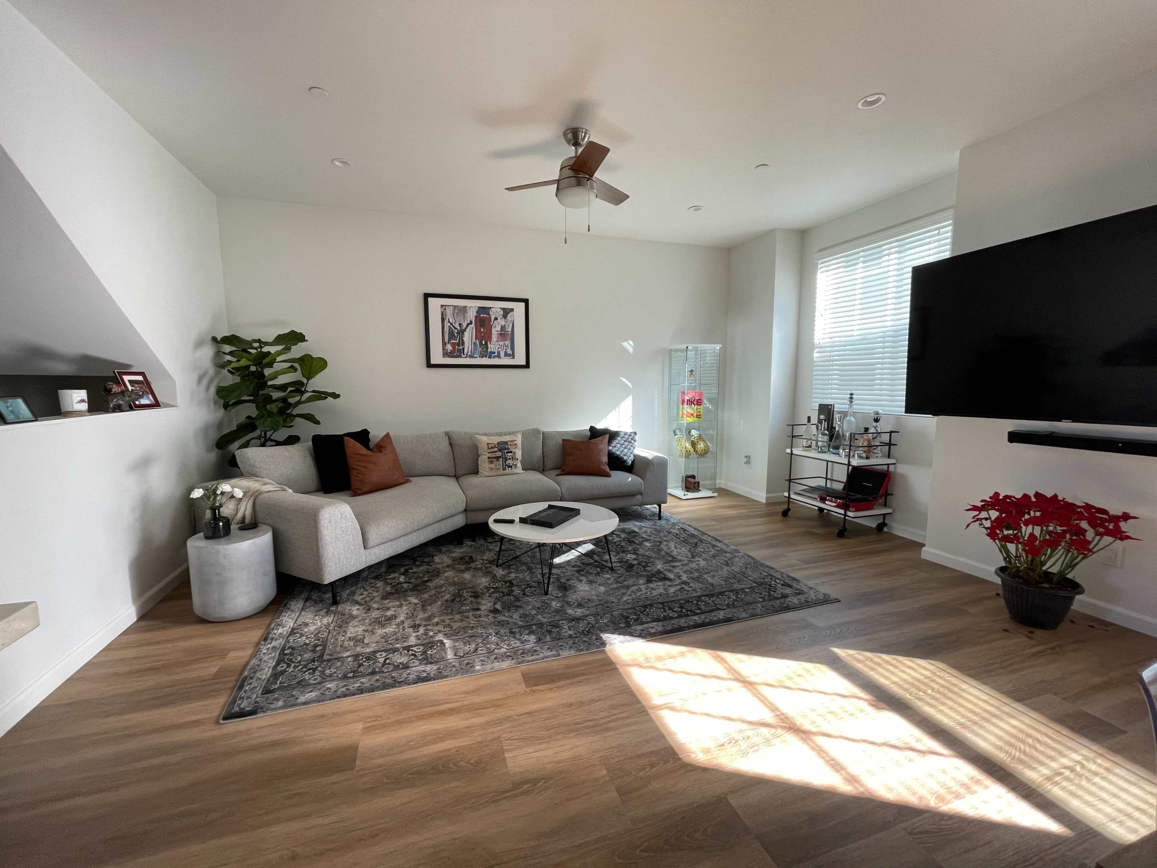 The image shows a modern living room with a gray sectional sofa, a decorative rug, a large TV mounted on the wall, and a plant in the corner.