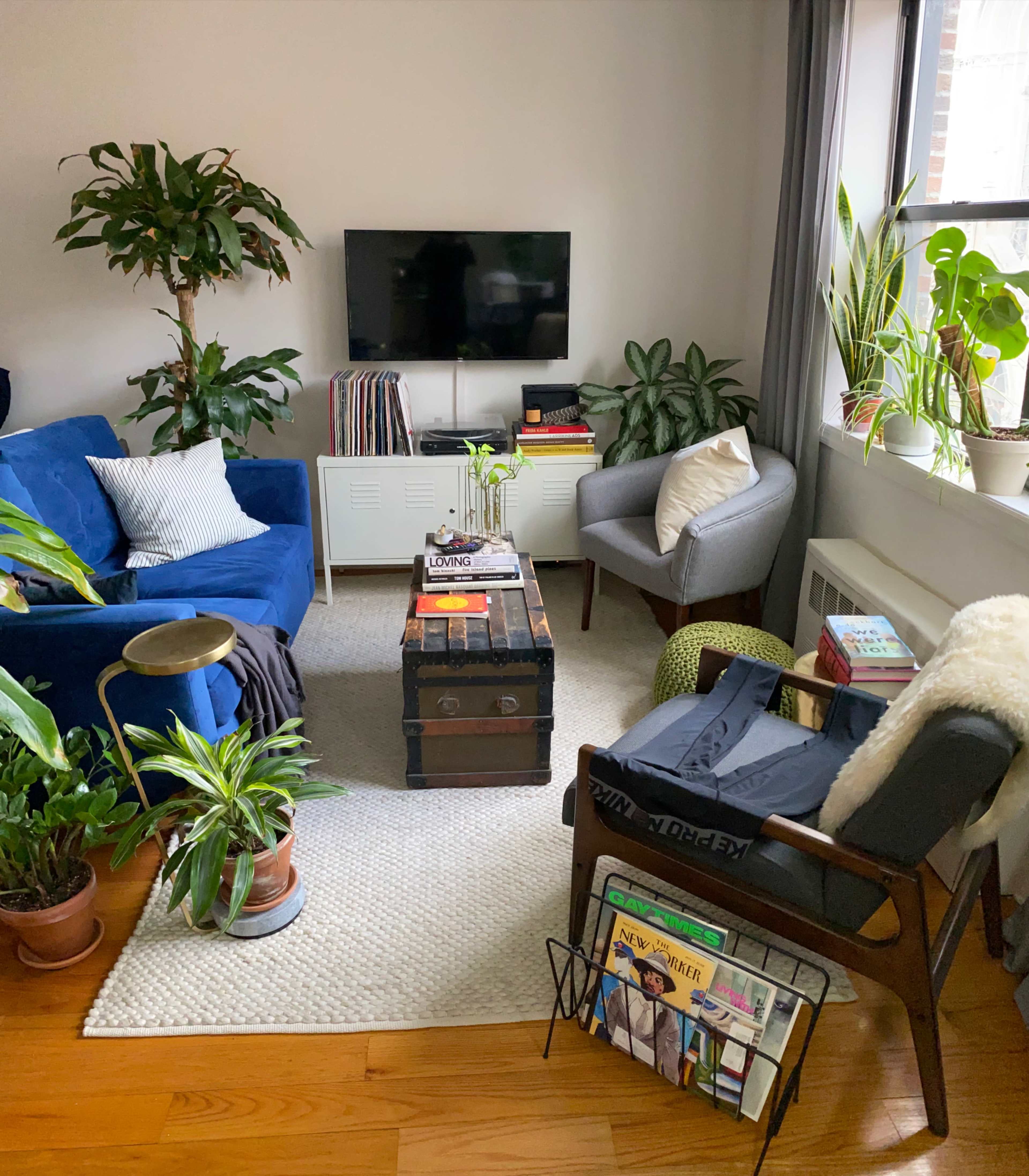 A cozy living room features a blue sofa, a gray armchair, a coffee table, plants, and a television mounted on the wall.