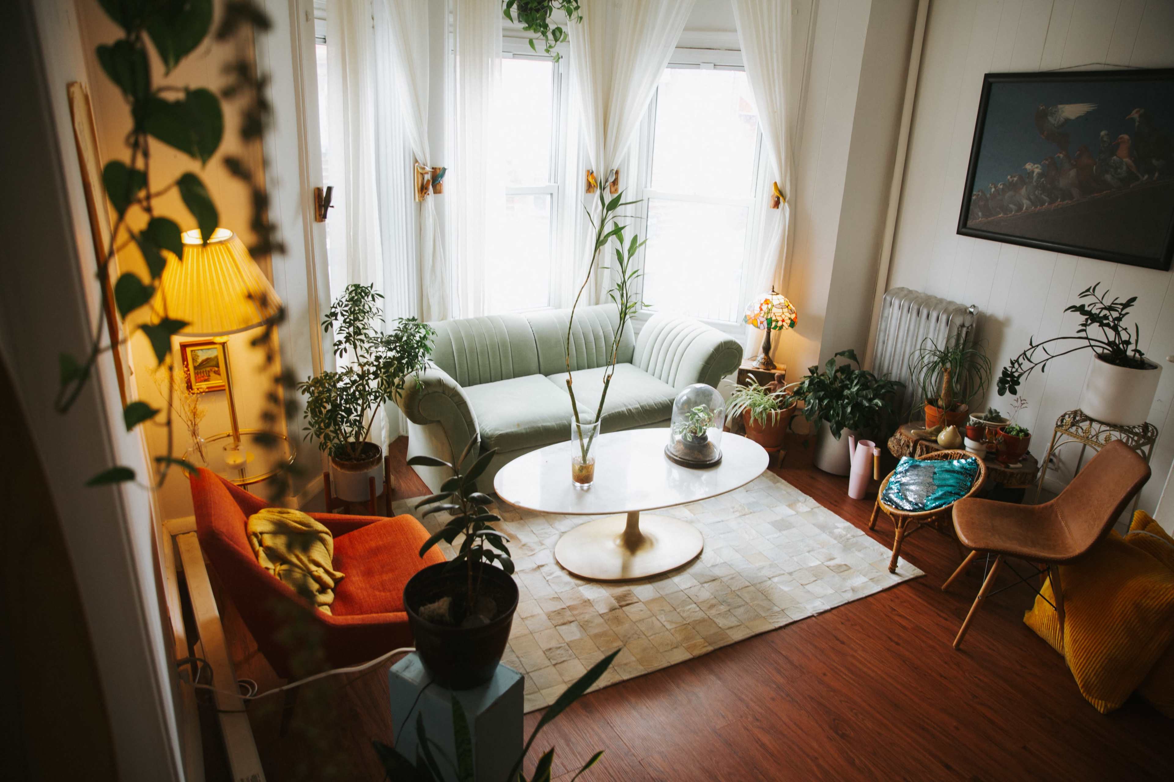 A cozy living room features a green couch, an orange chair, plants throughout, and a coffee table centered on a textured rug.