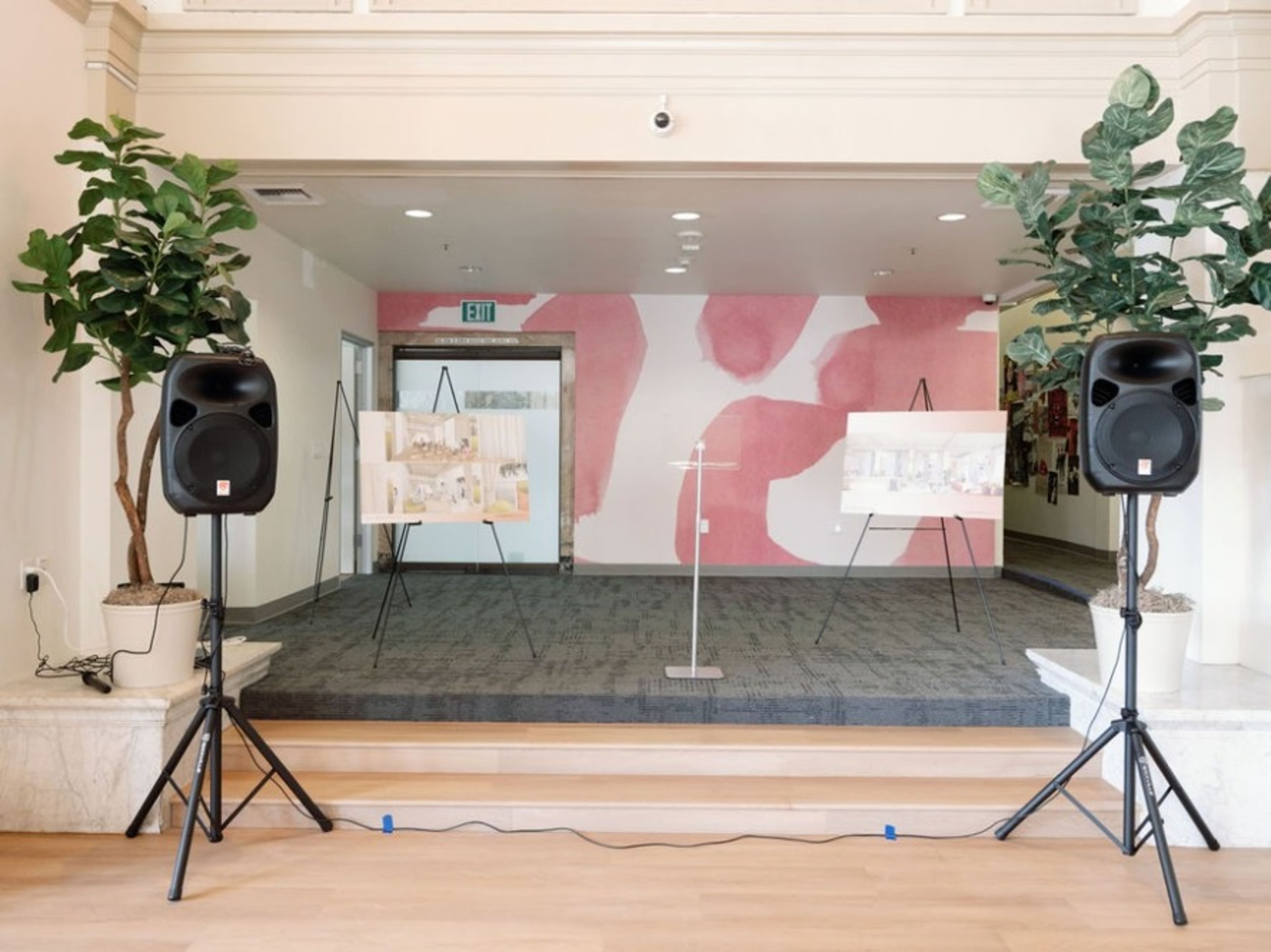 Speaker and Mic System 