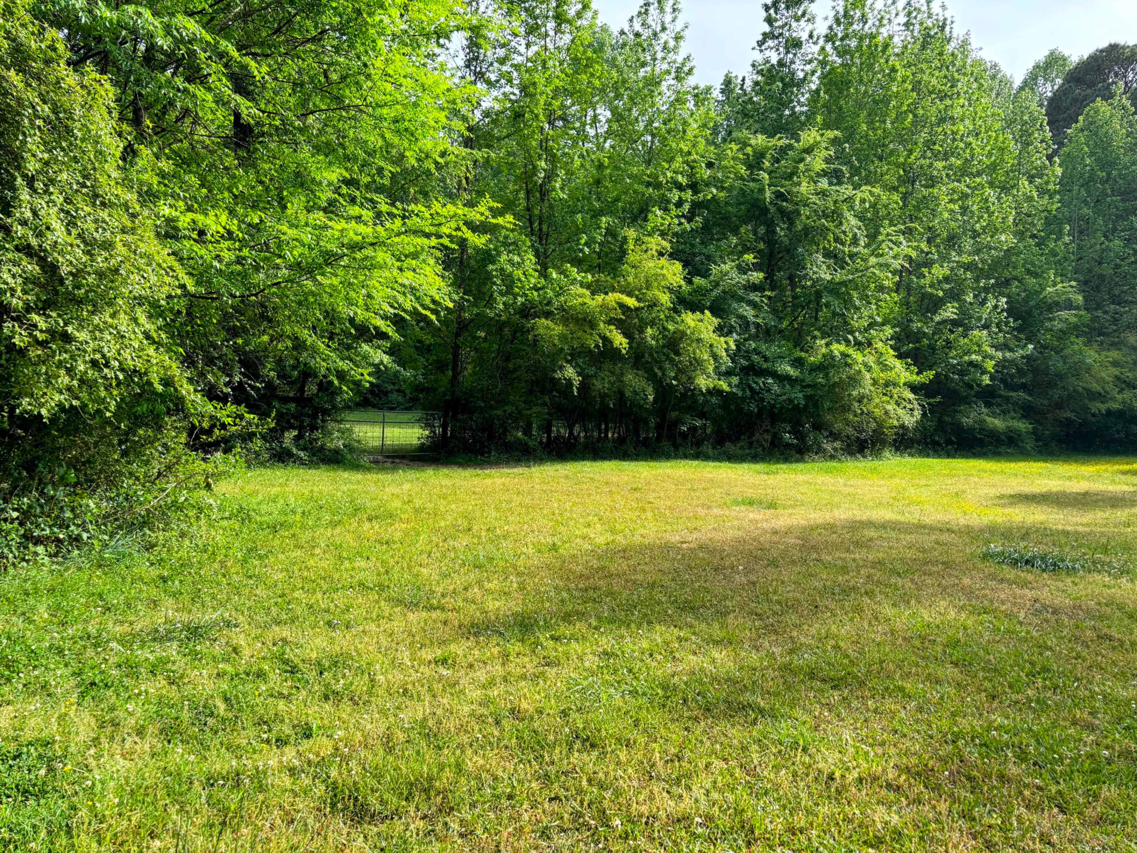 Private Large Field w/ Barn Surrounded by Trees for Photoshoot & Events Image in , snellville, GA