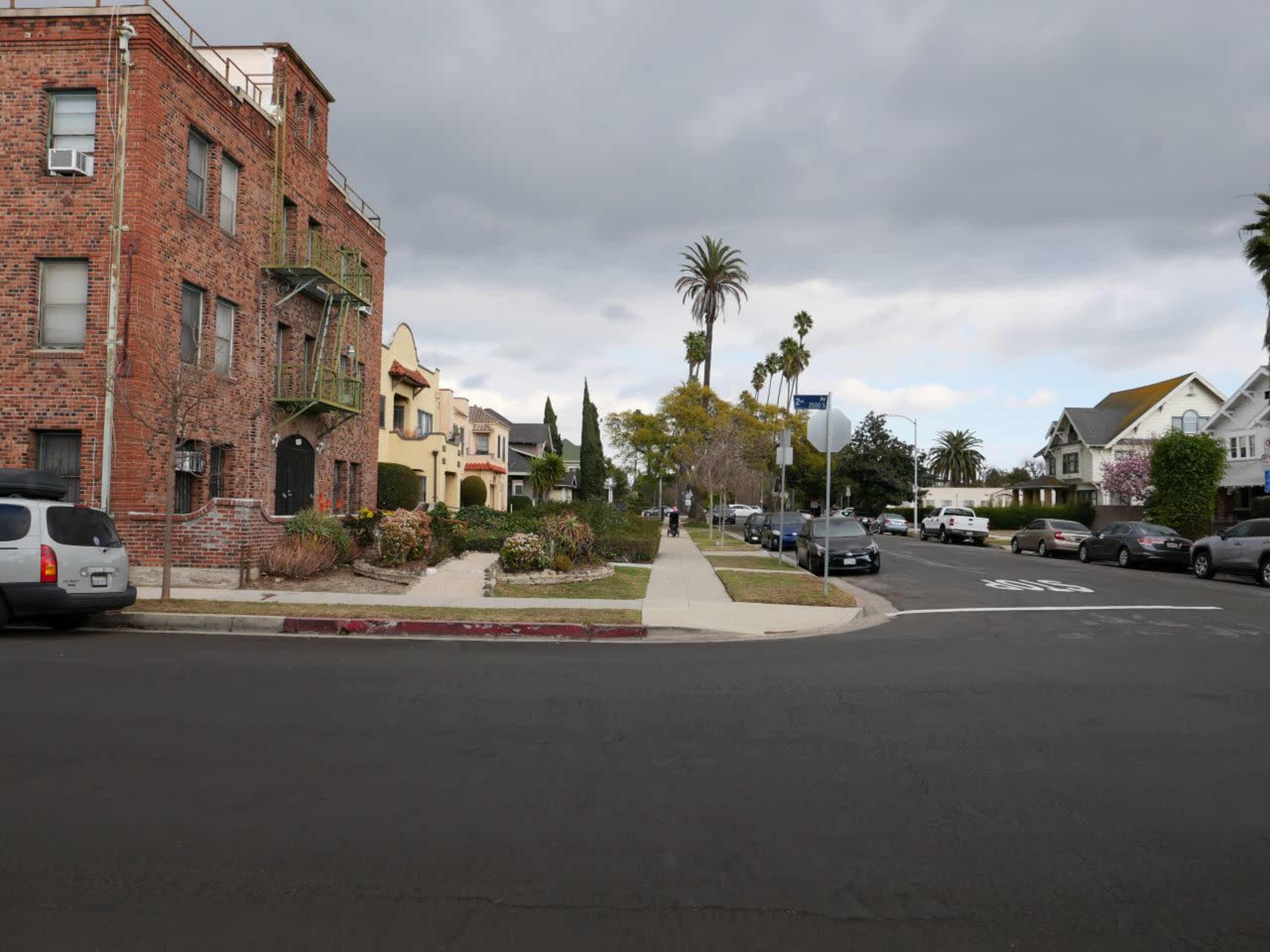 The image shows a residential street with a mix of brick and stucco buildings, palm trees lining the sidewalks, and parked cars along the curb.