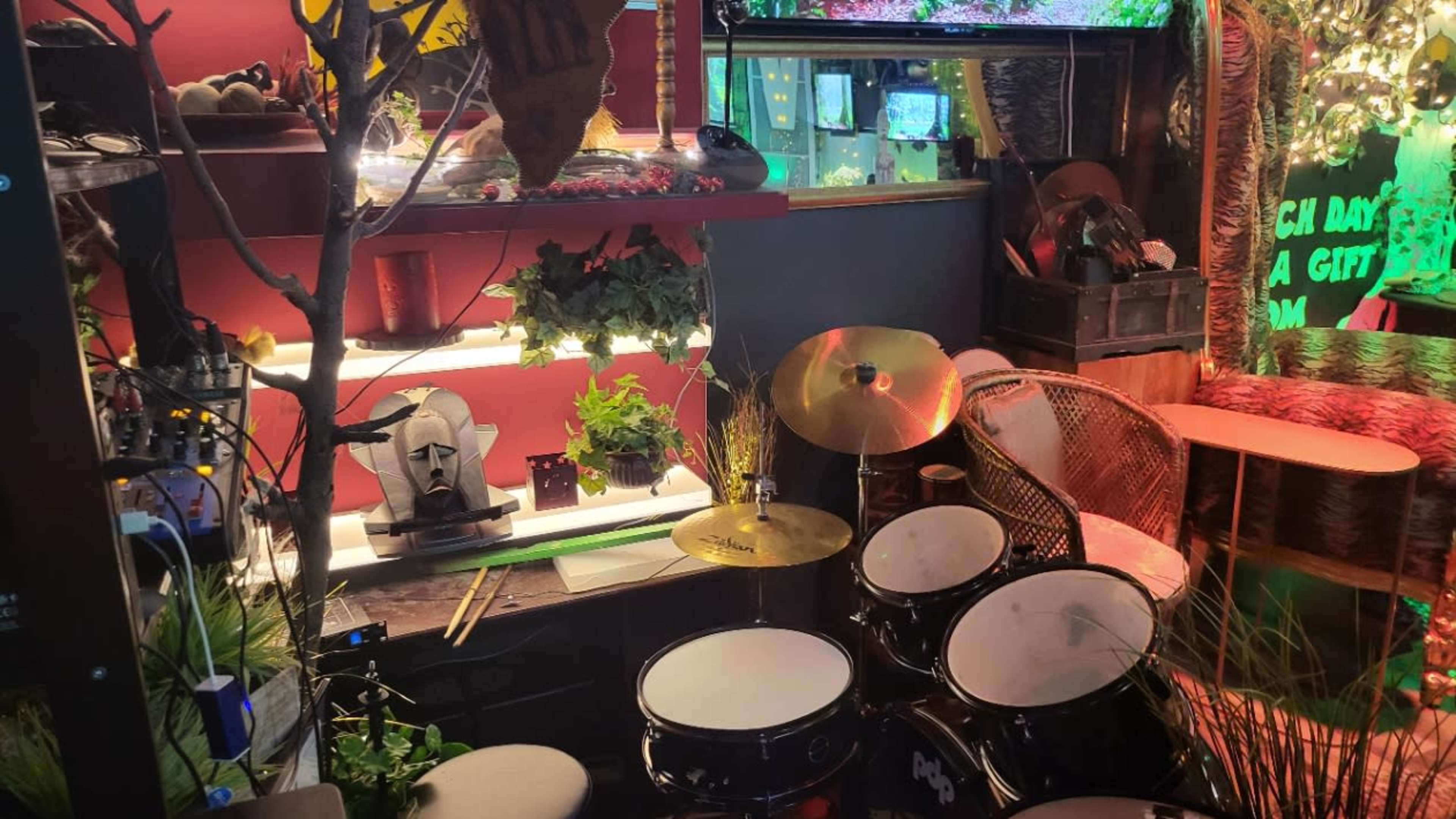 A cozy corner of a room featuring a drum set, various plants, a decorative wall with art pieces, and a small tree, all surrounded by vibrant lighting.