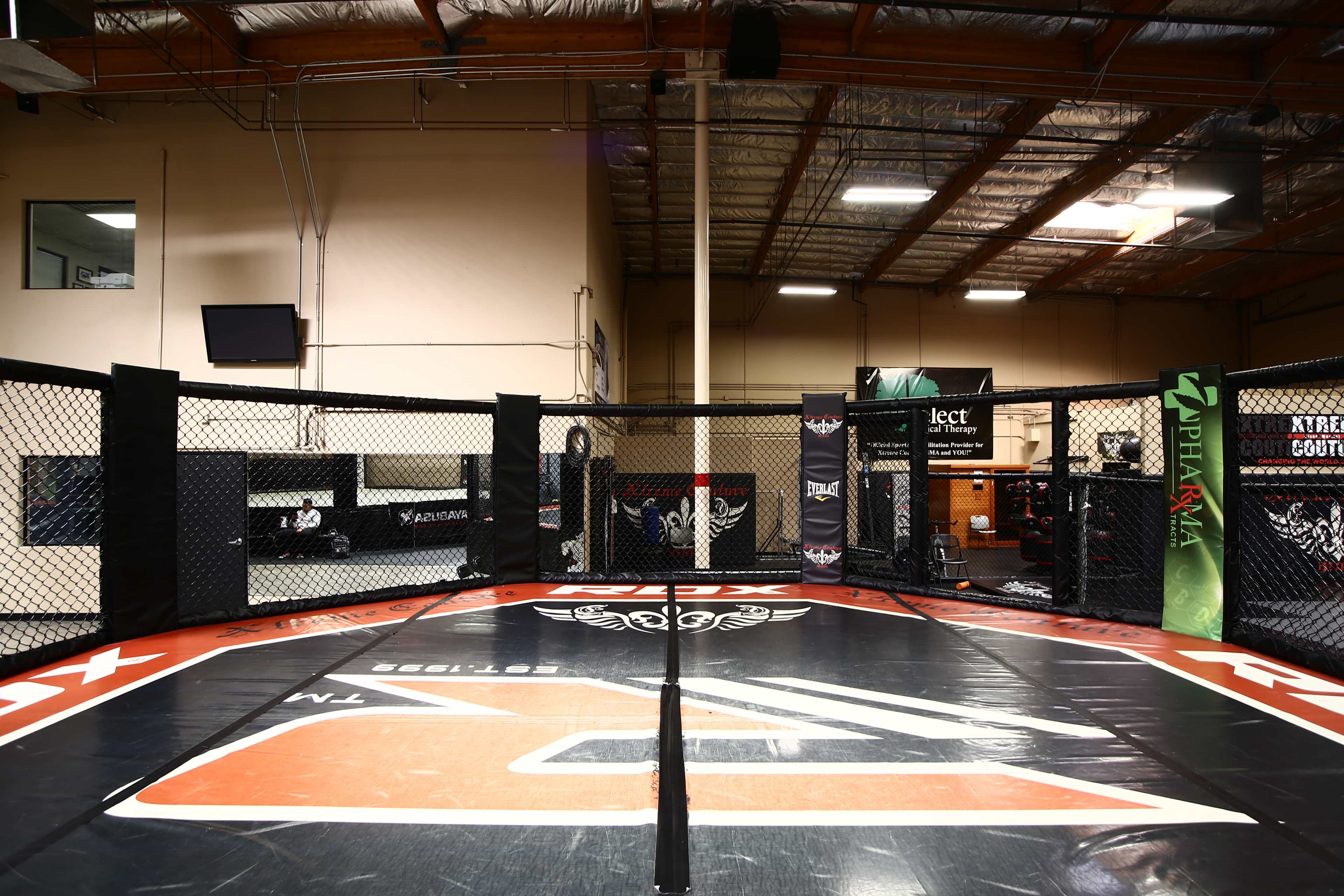 An empty mixed martial arts octagonal cage within a gym, featuring a central logo and surrounded by black fencing.