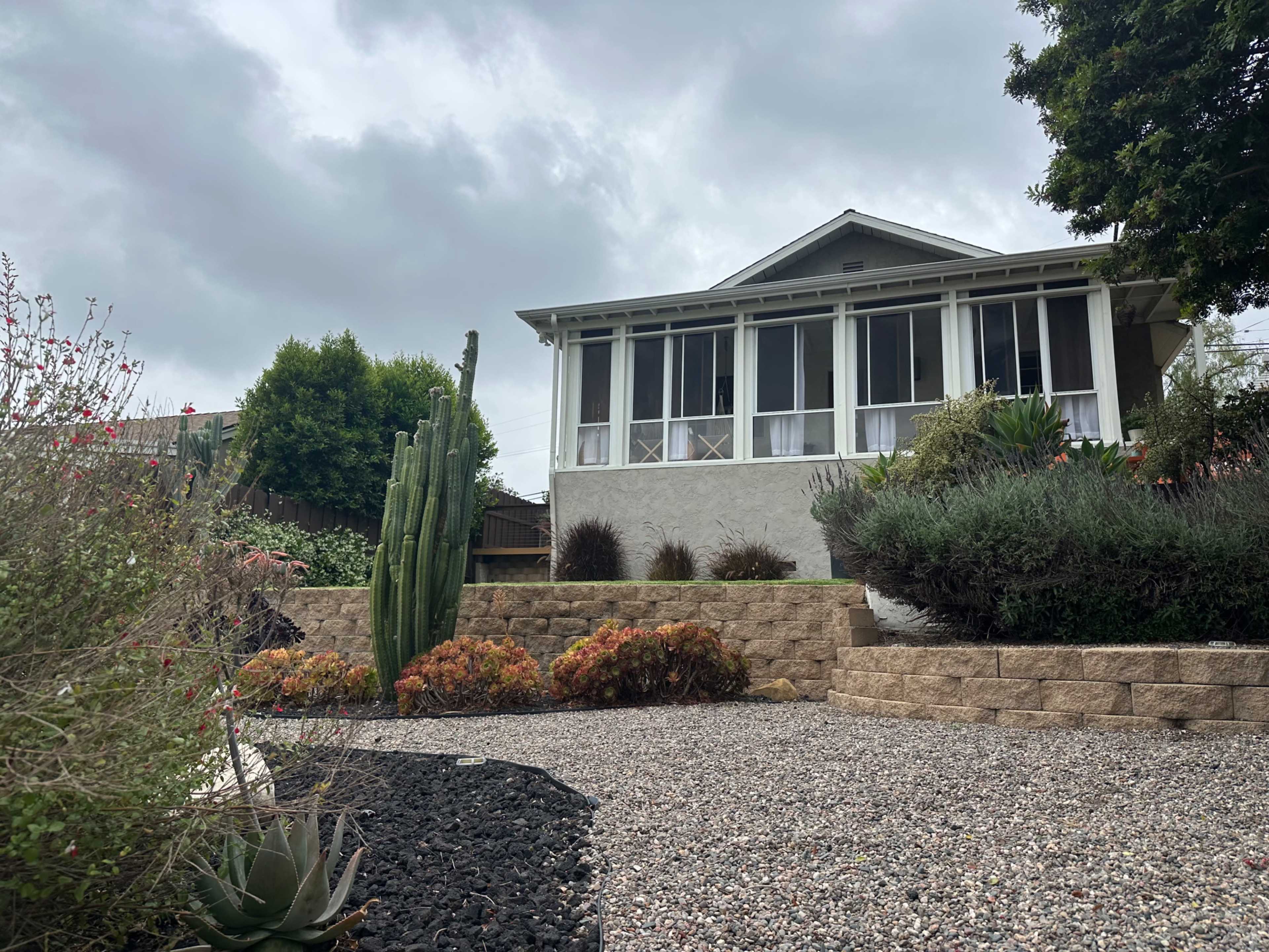 A house with large front windows is situated on an elevated garden with various plants and a cactus in the foreground.