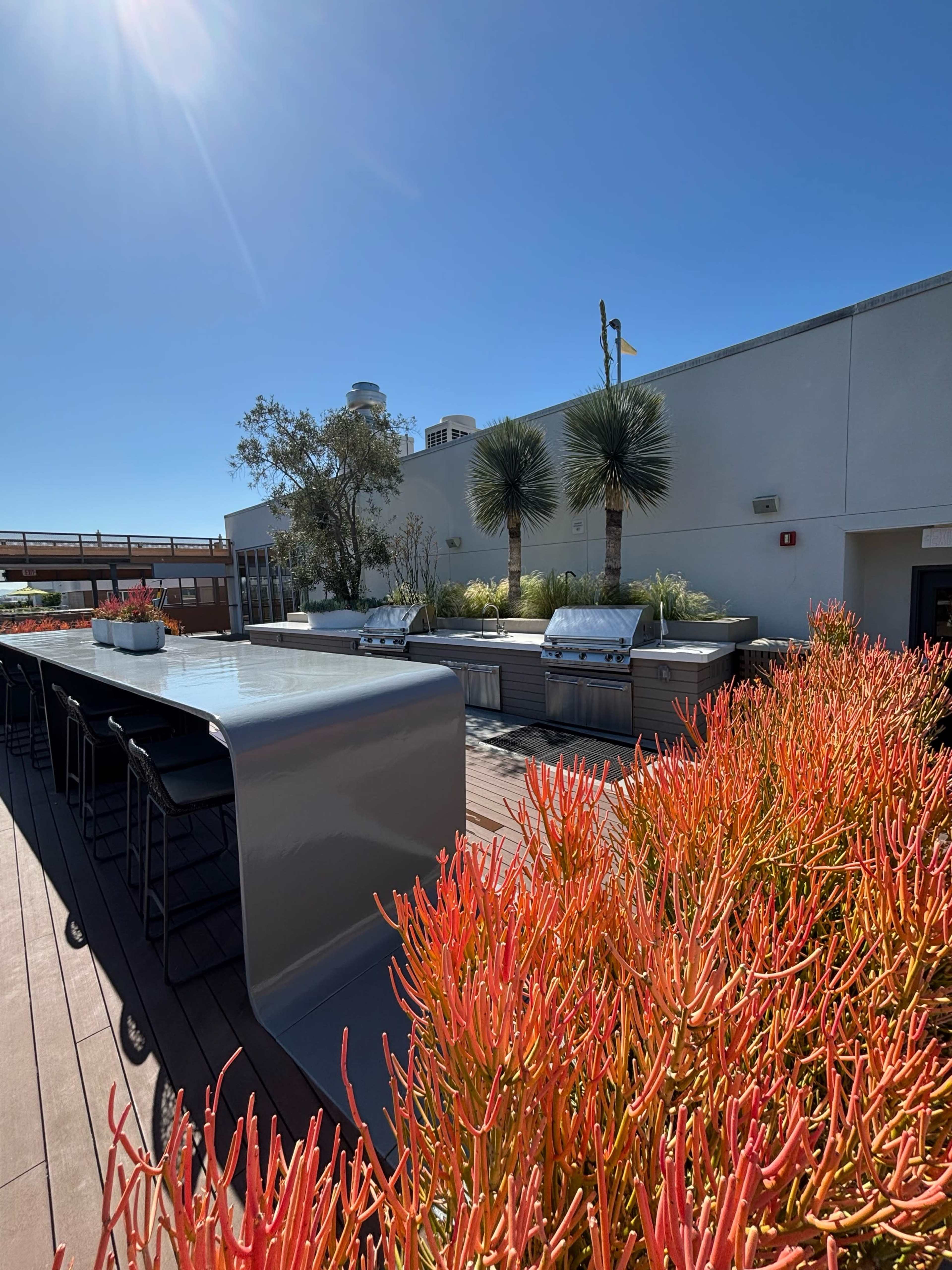 A rooftop terrace features a long dining table, two outdoor grills, and vibrant red succulents against a clear blue sky.