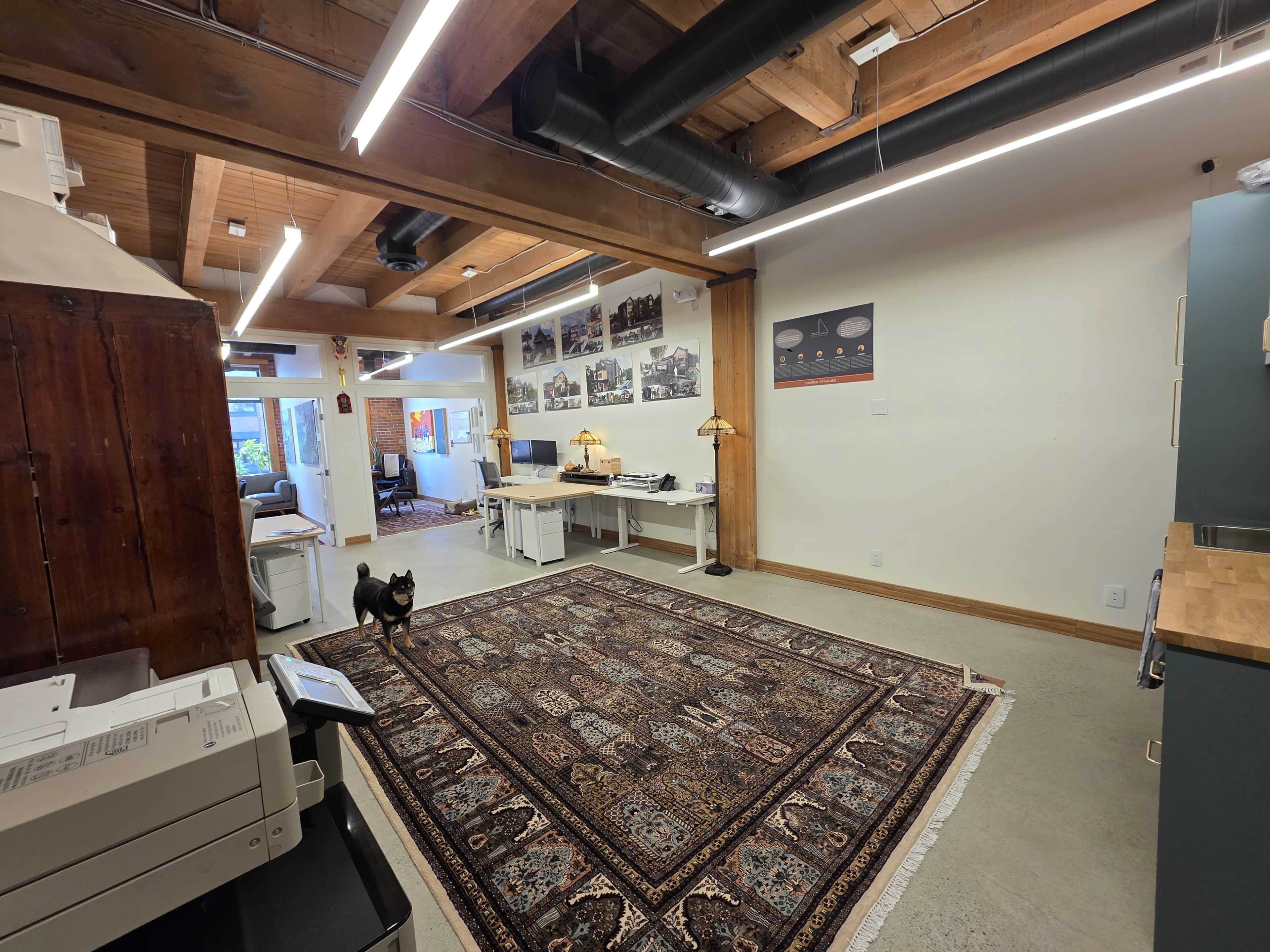 The image shows an office space with wooden beams, a large area rug, desks, and a black cat on the floor.