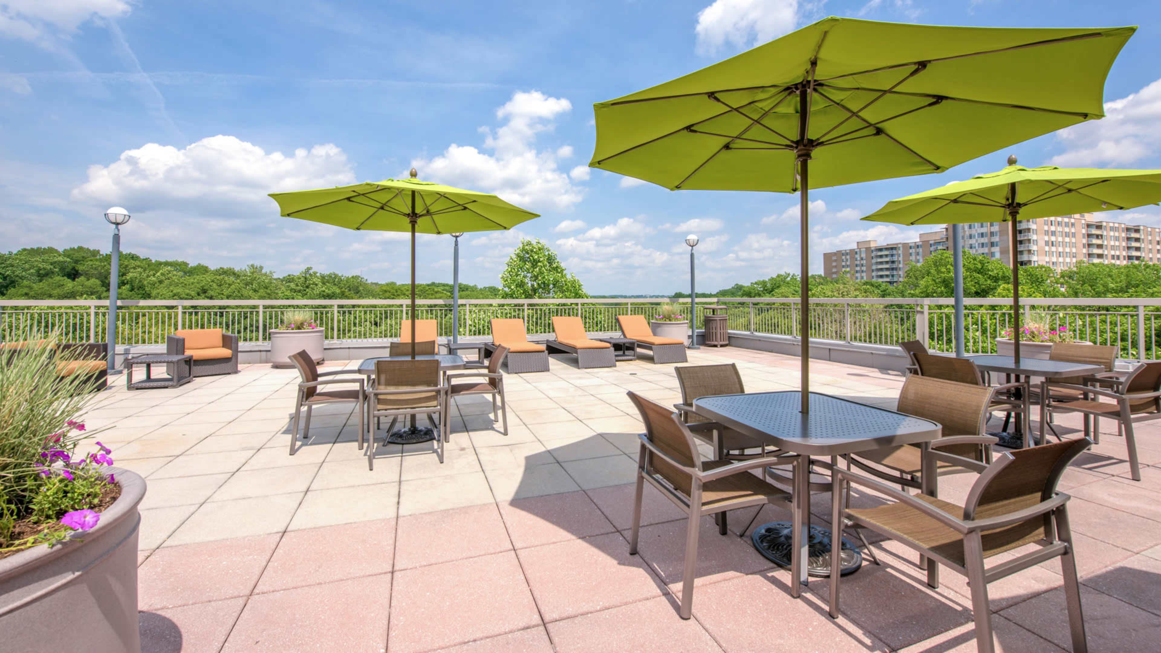 A rooftop terrace with tables, chairs, and lounge chairs under green umbrellas, overlooking a tree-lined area.