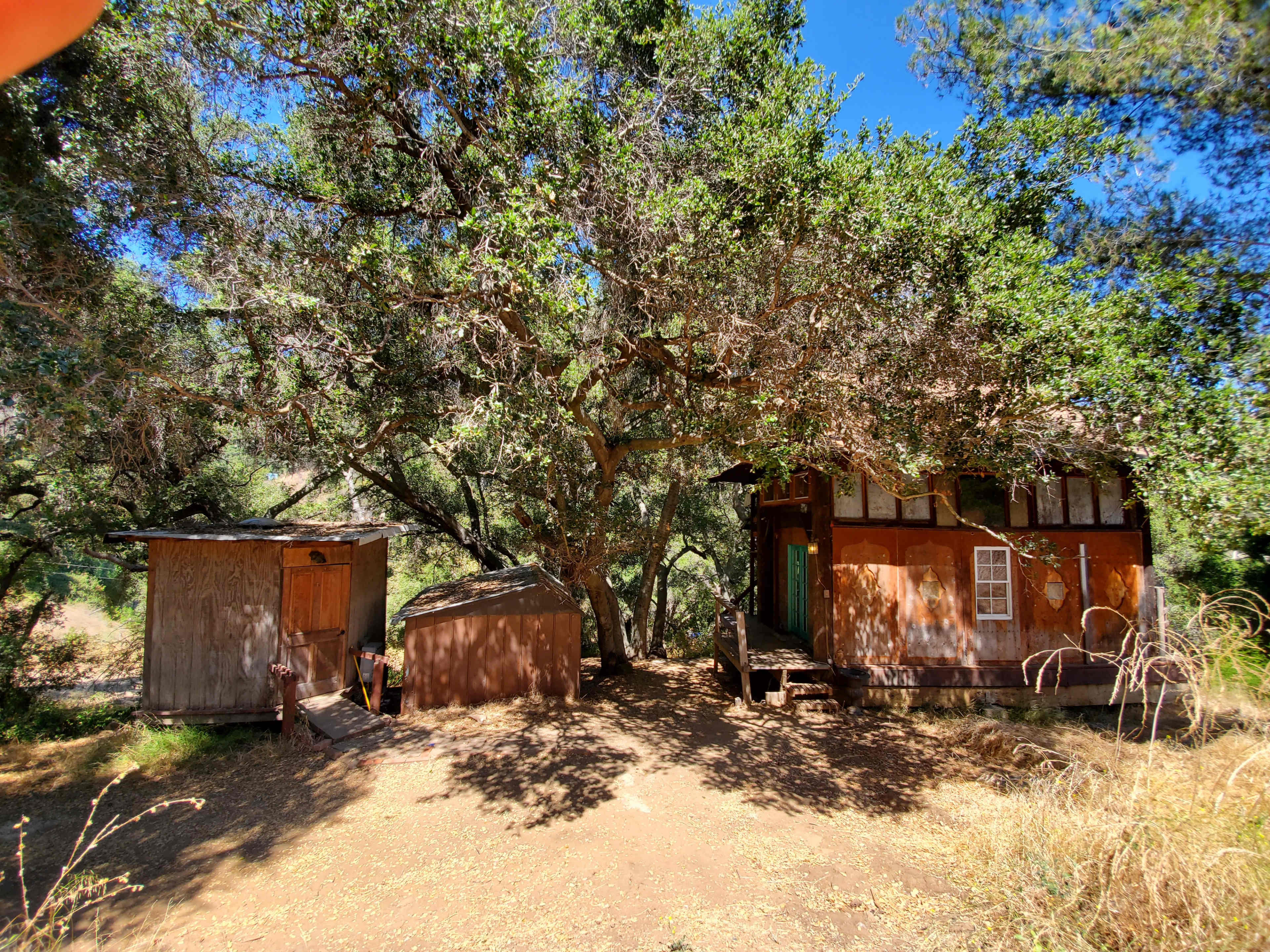The image shows a small wooden cabin and a shed nestled under large oak trees in a grassy area.