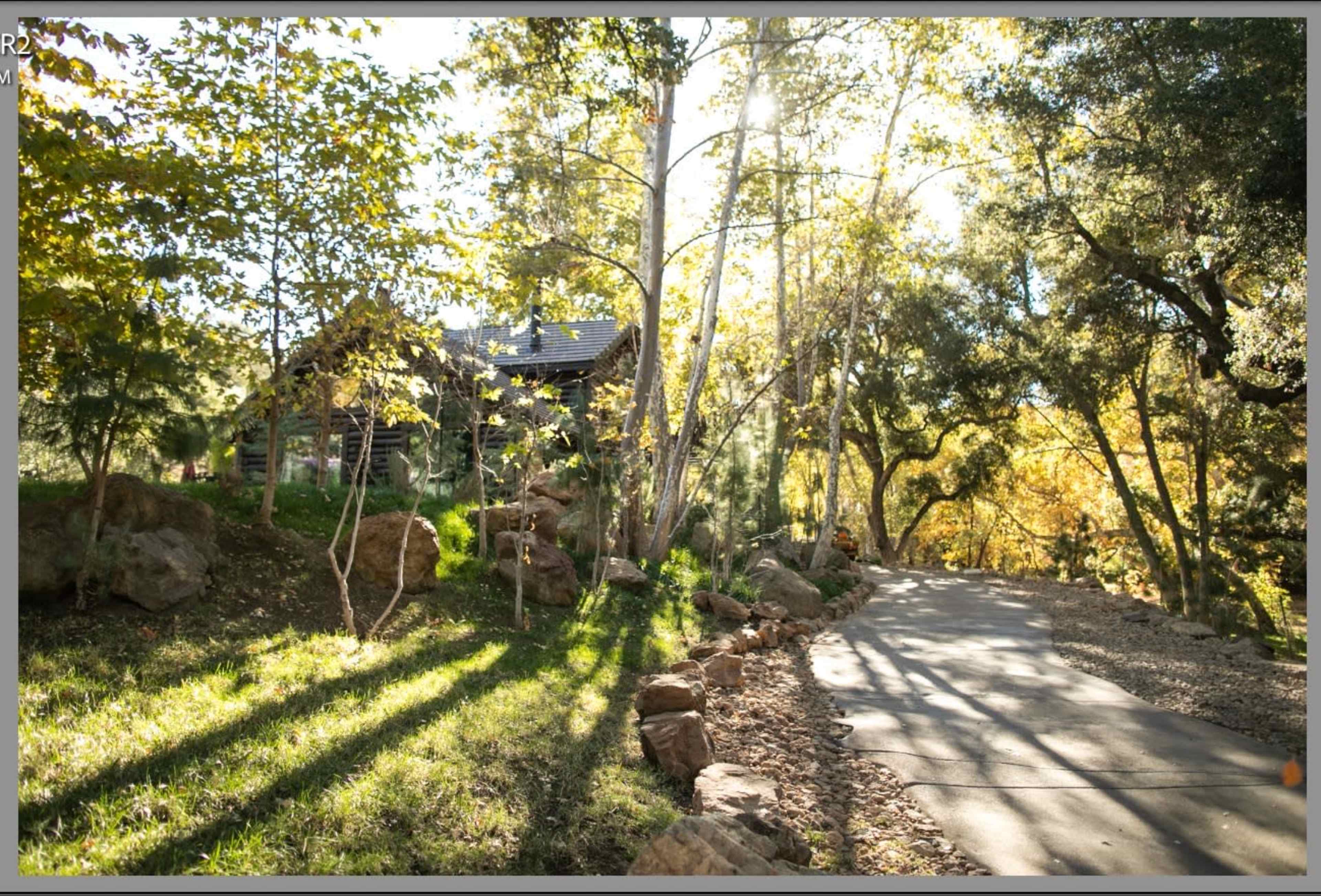 A narrow driveway winds through trees and rocks leading to a log cabin partially visible in the background.