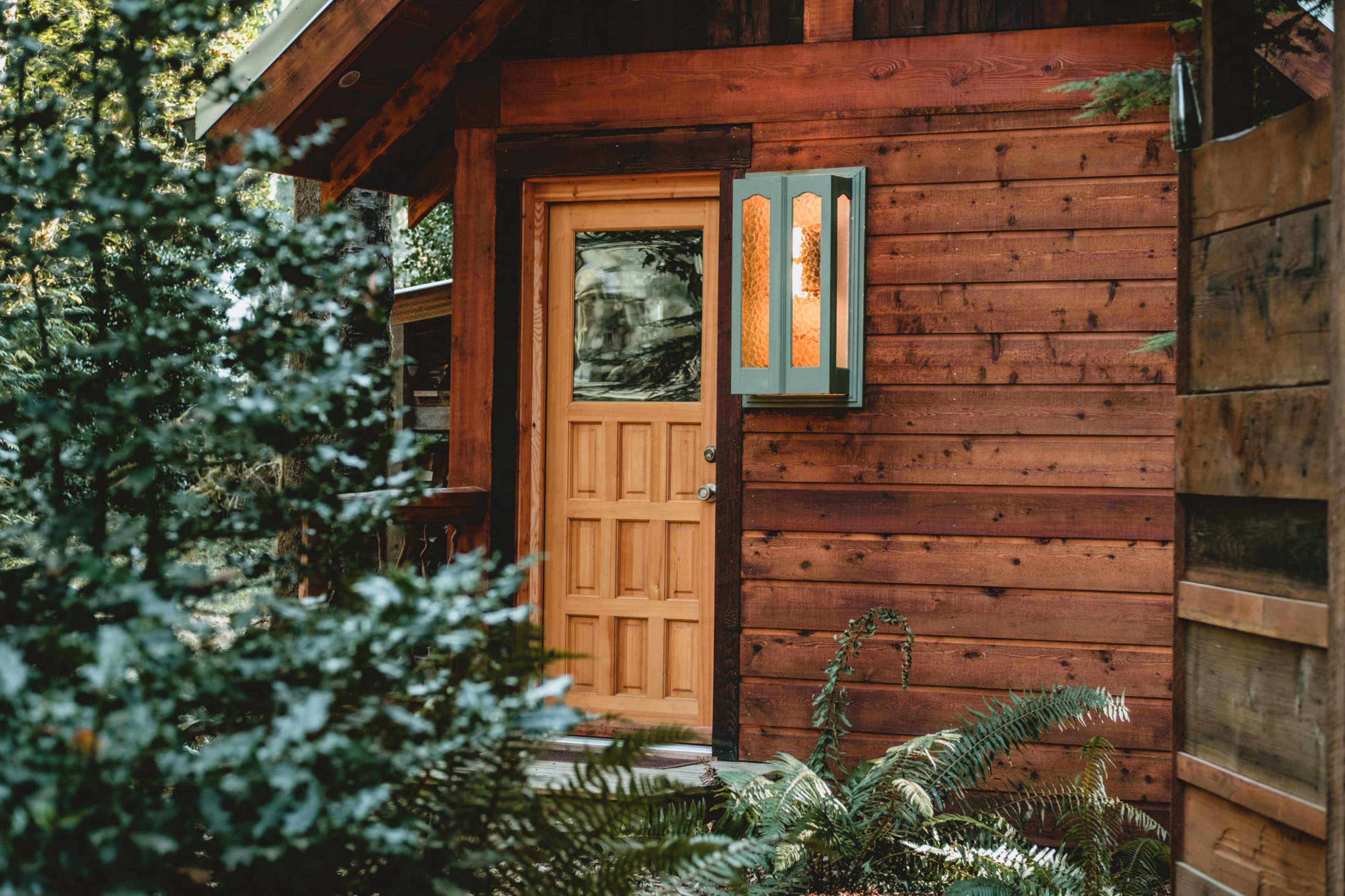 A wooden cabin with a green window, surrounded by dense foliage, features a light on inside.