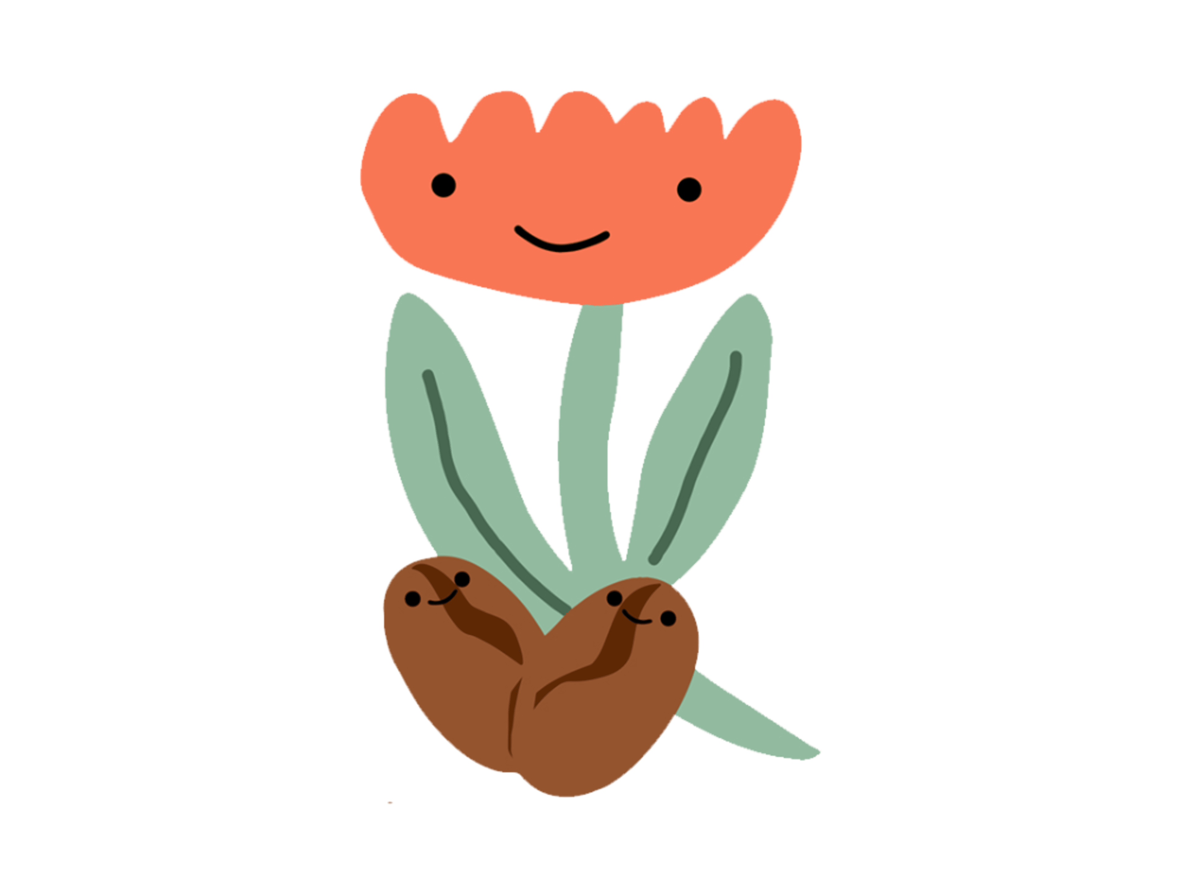 Flower & Beans - Coffee Catering