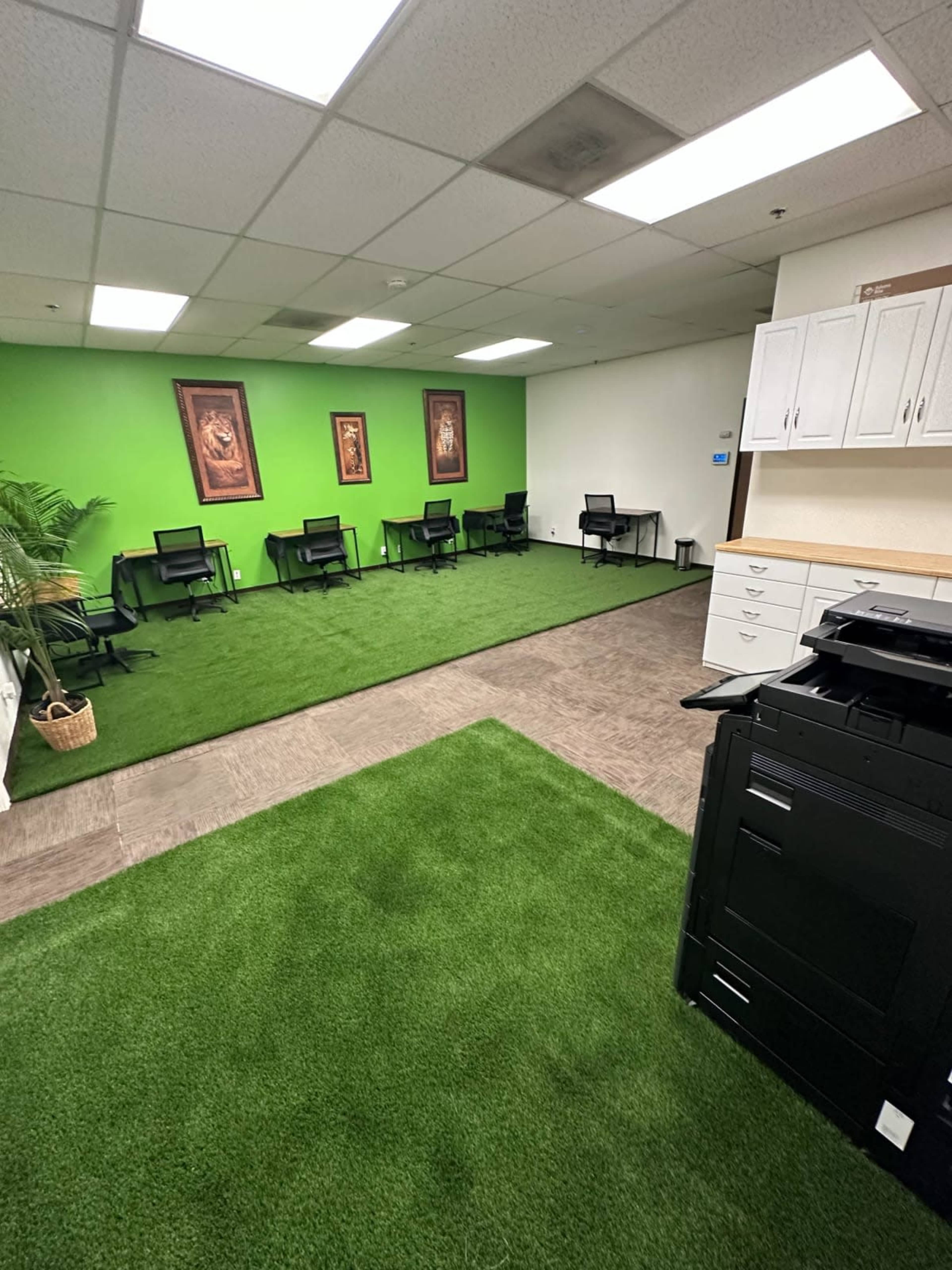 The image shows an office space with green walls and carpet-like flooring, featuring several black chairs arranged in a circle, and a printer located in the corner.