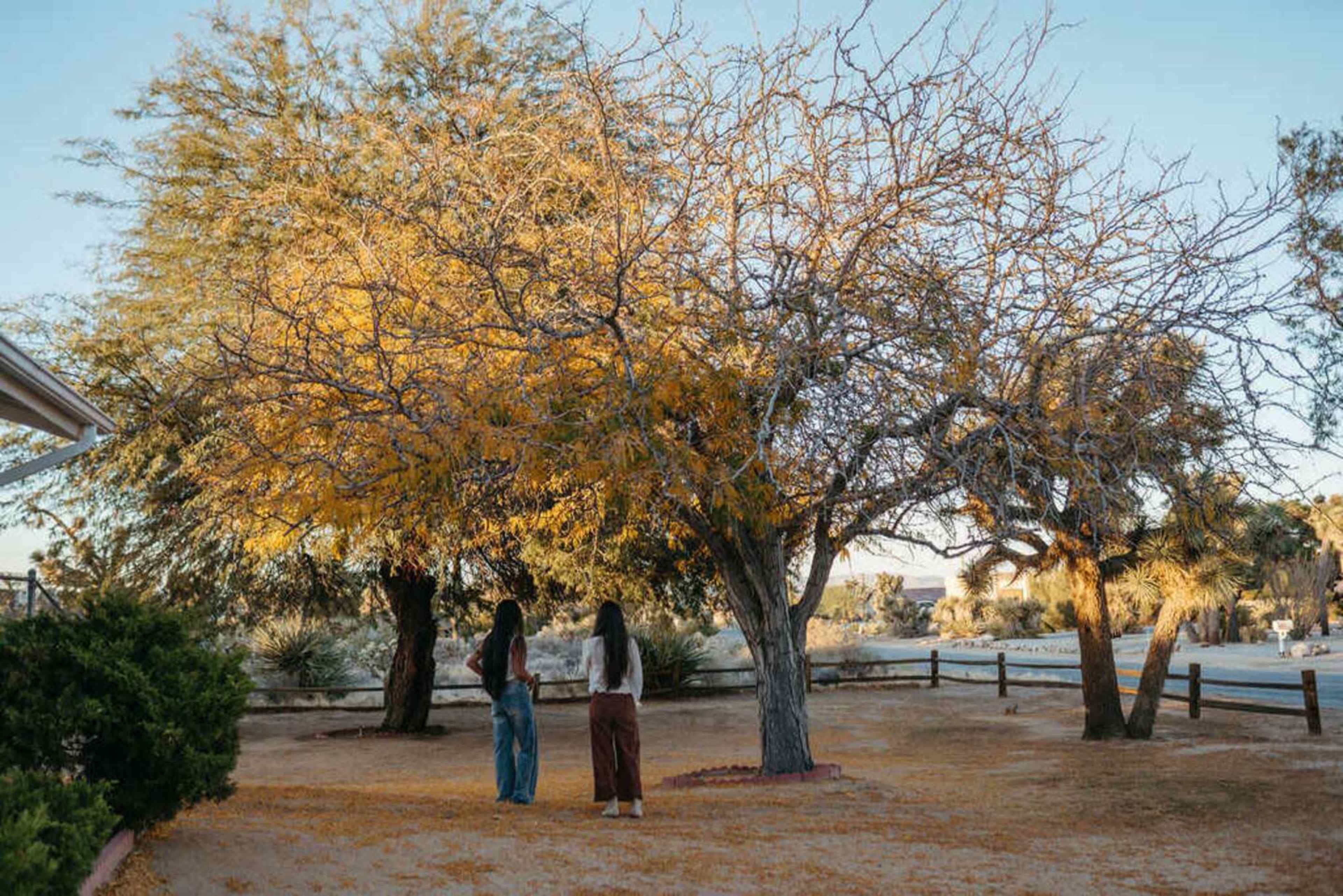 Elevated Ranch Available for Select Private Events Image in Yucca Valley, Yucca Valley, CA