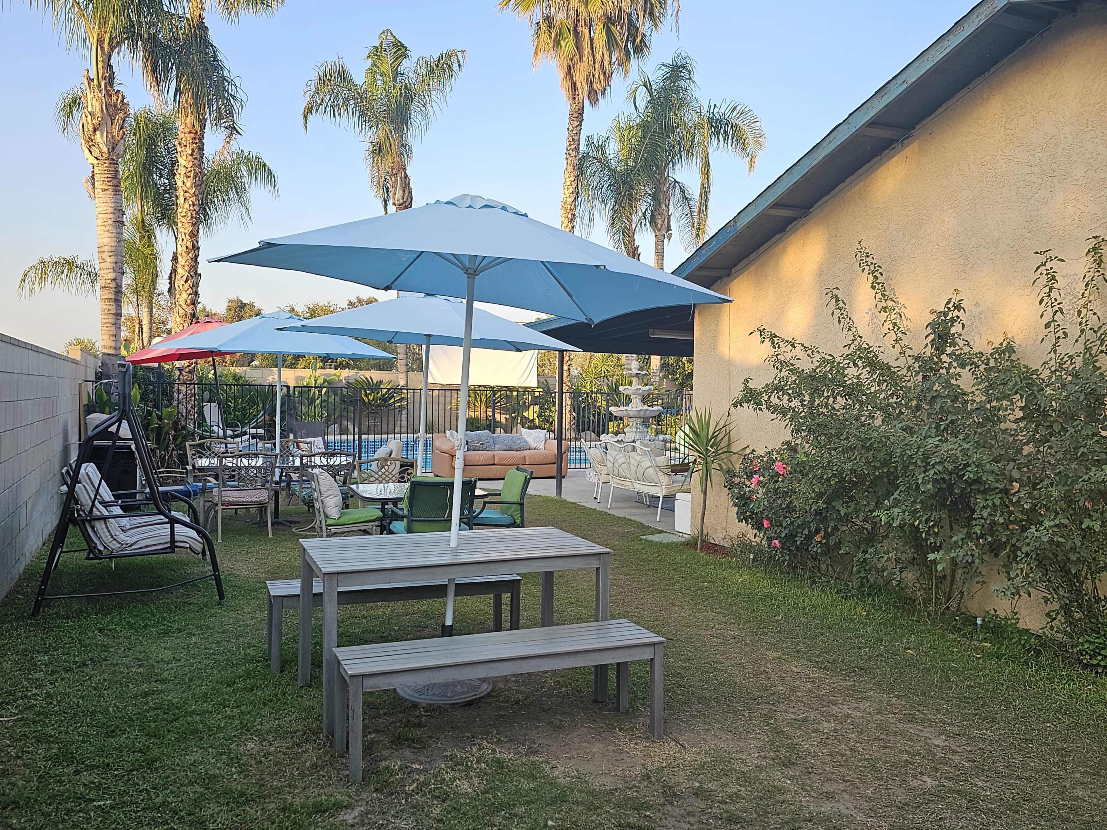 A backyard area with a table and benches, several umbrellas, and a swimming pool surrounded by lounge furniture and palm trees.