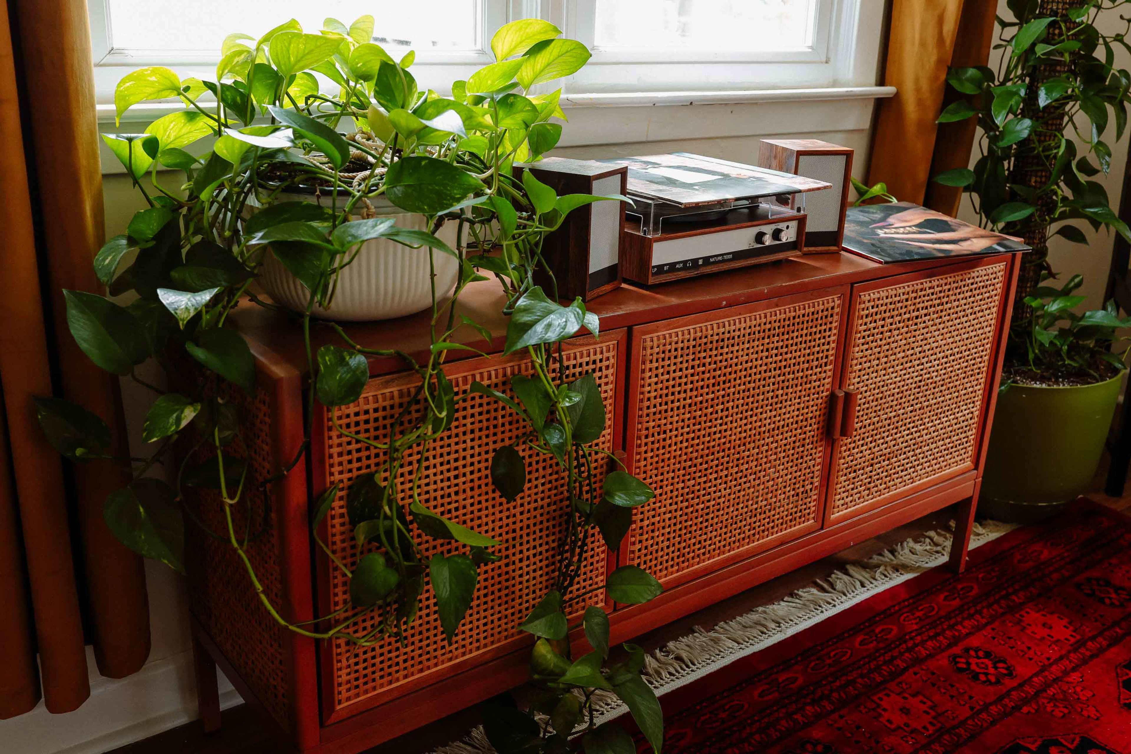 A wooden cabinet with a retro design, topped with a turntable and surrounded by potted plants, sits against a window with white curtains in a room featuring a red rug.