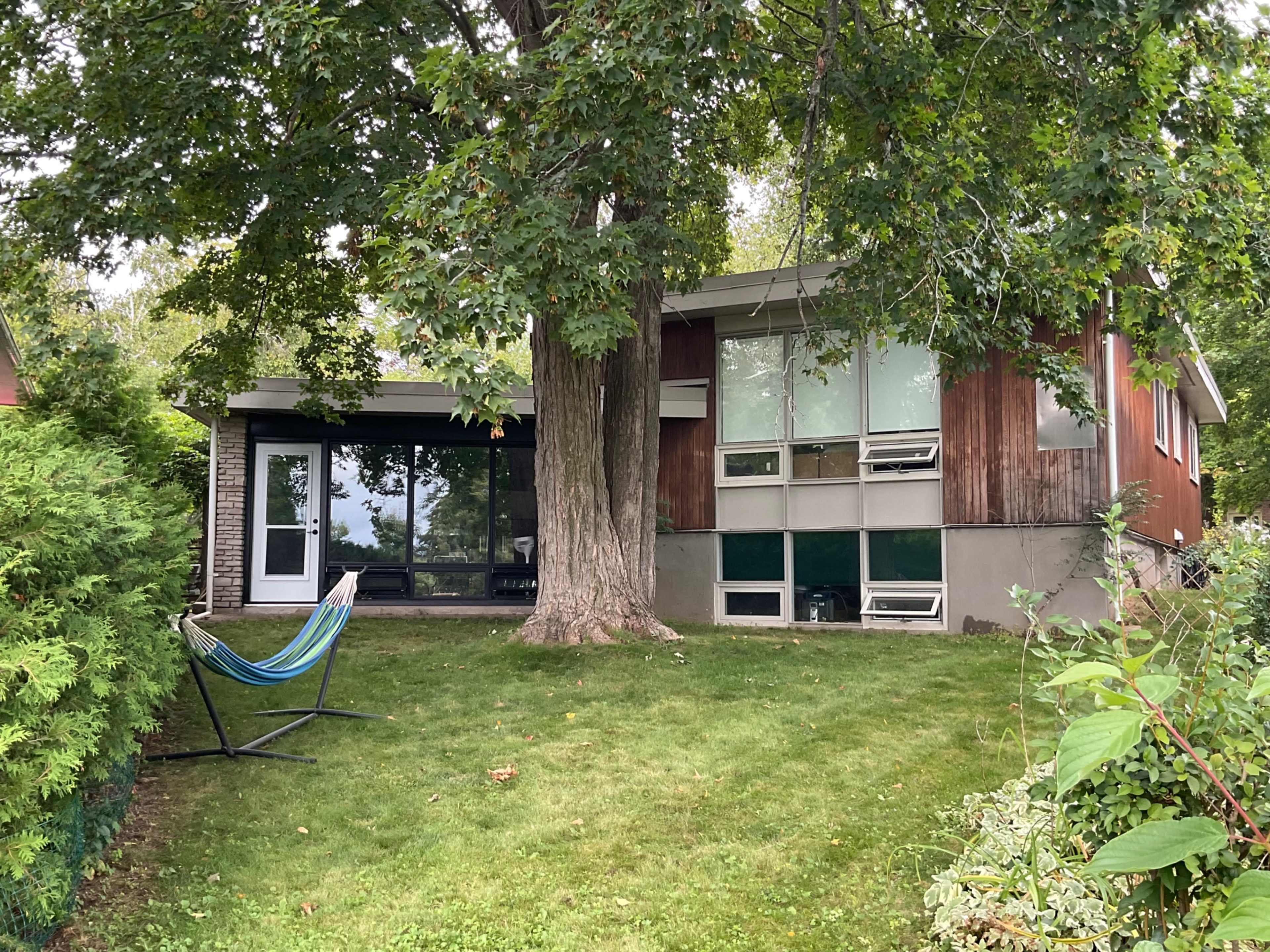 A modern house with large windows and a wood exterior sits under a tree, surrounded by a grassy yard and a hammock.