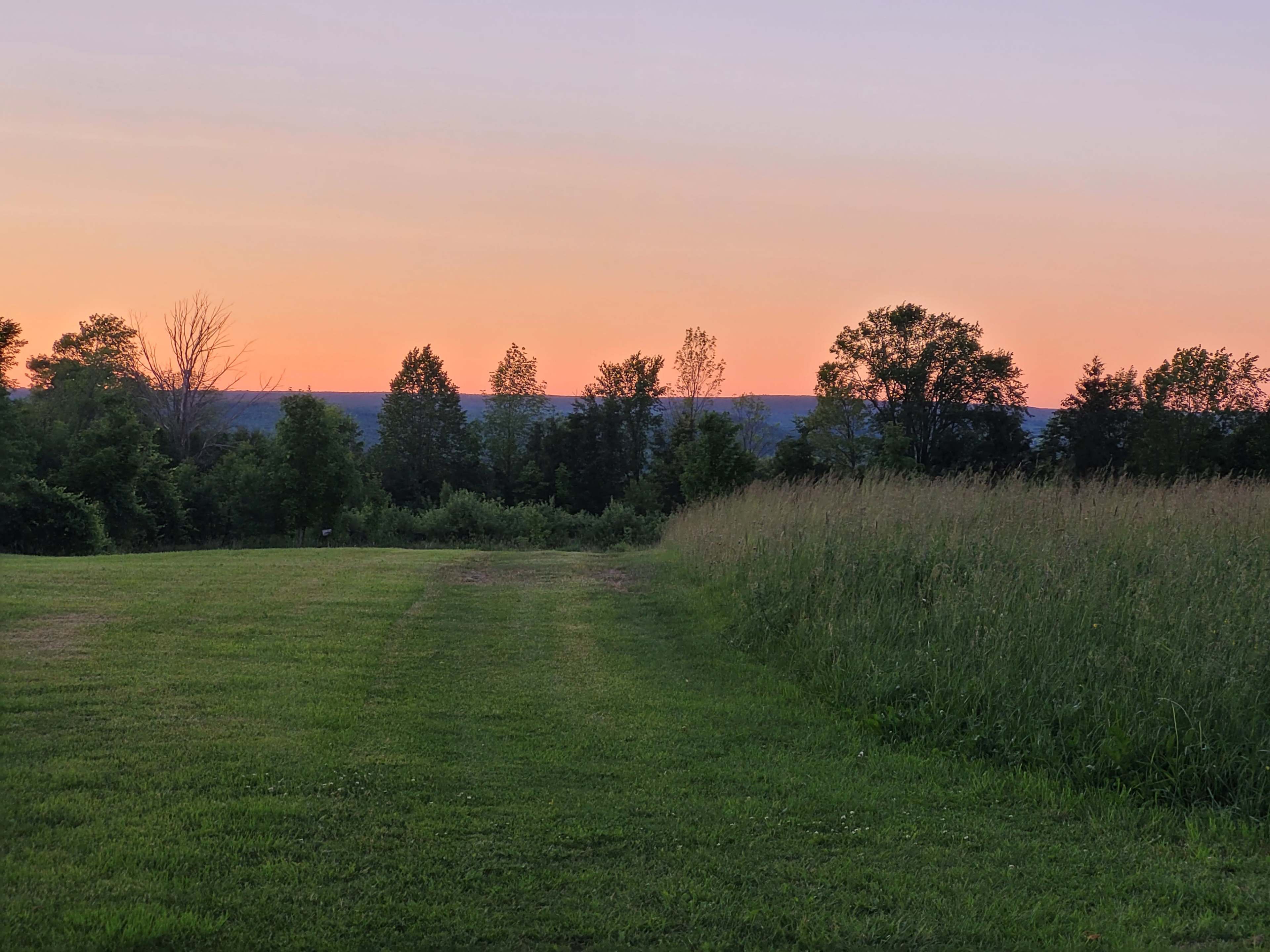 A grassy field leads to a row of trees against a colorful sunset sky.