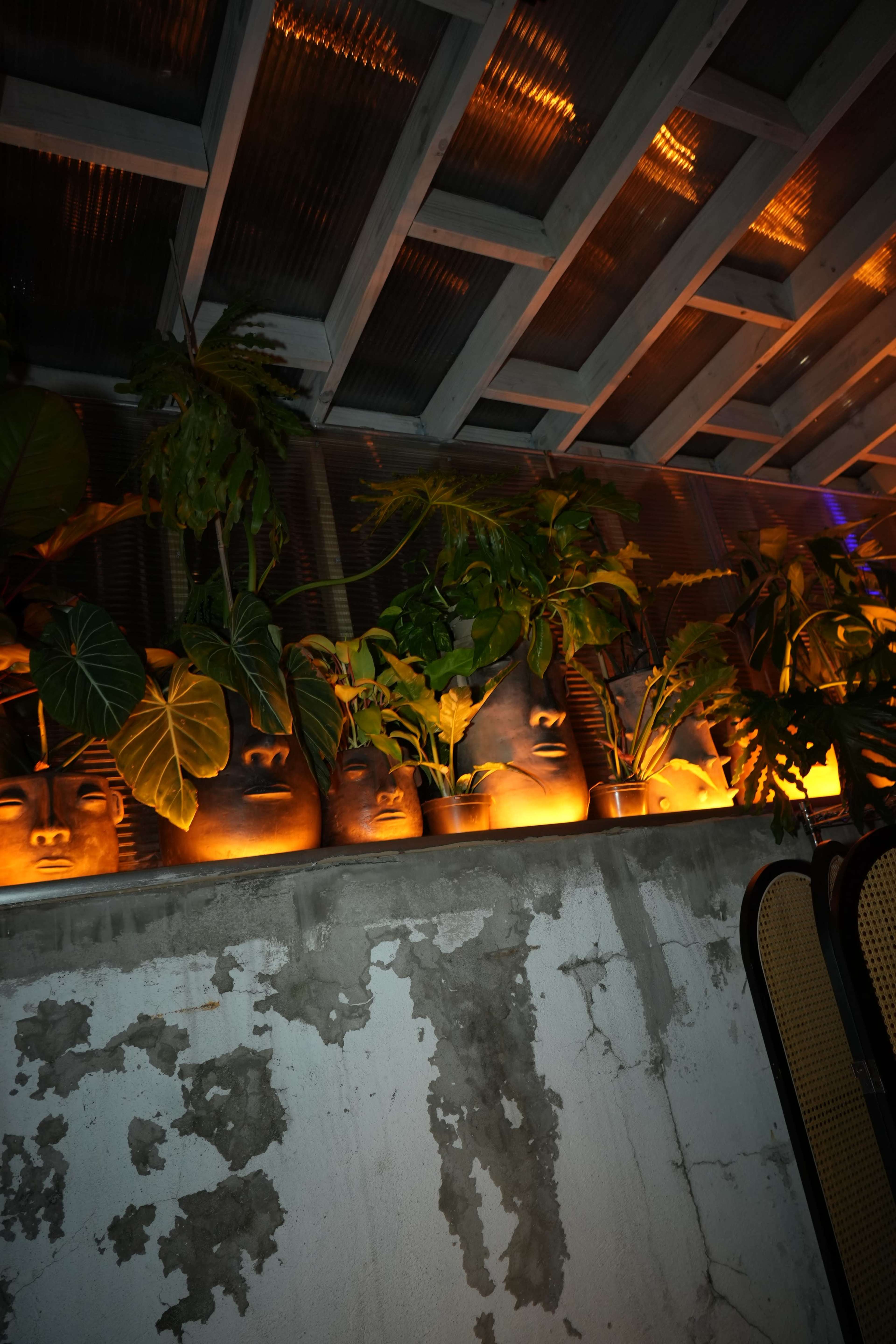 The image shows a wall adorned with ceramic faces and lush potted plants, illuminated by warm orange lights.