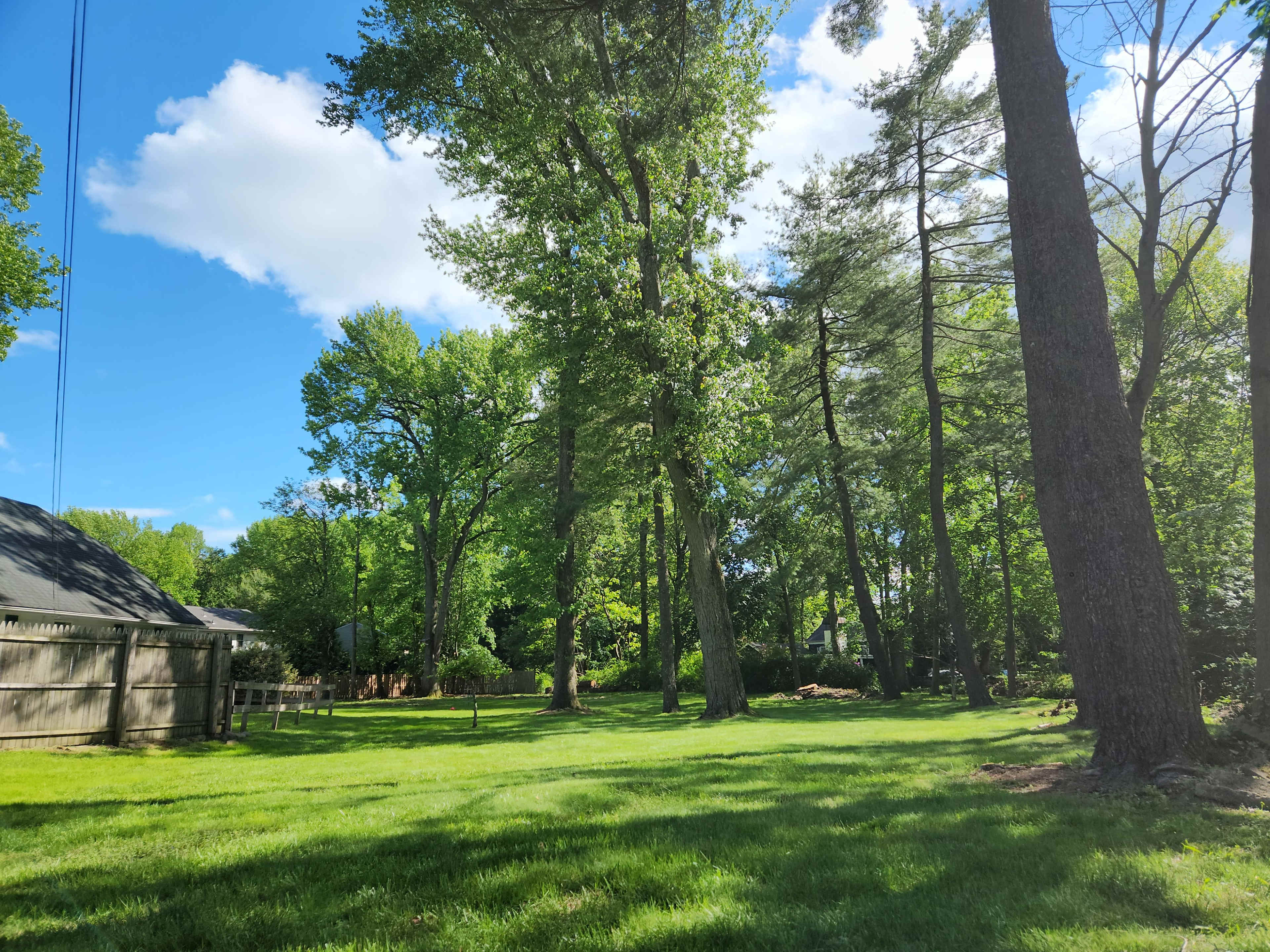 Lush Private Park-Like Backyard, Perfect for Intimate Celebrations Image in Plainfield, Plainfield, NJ