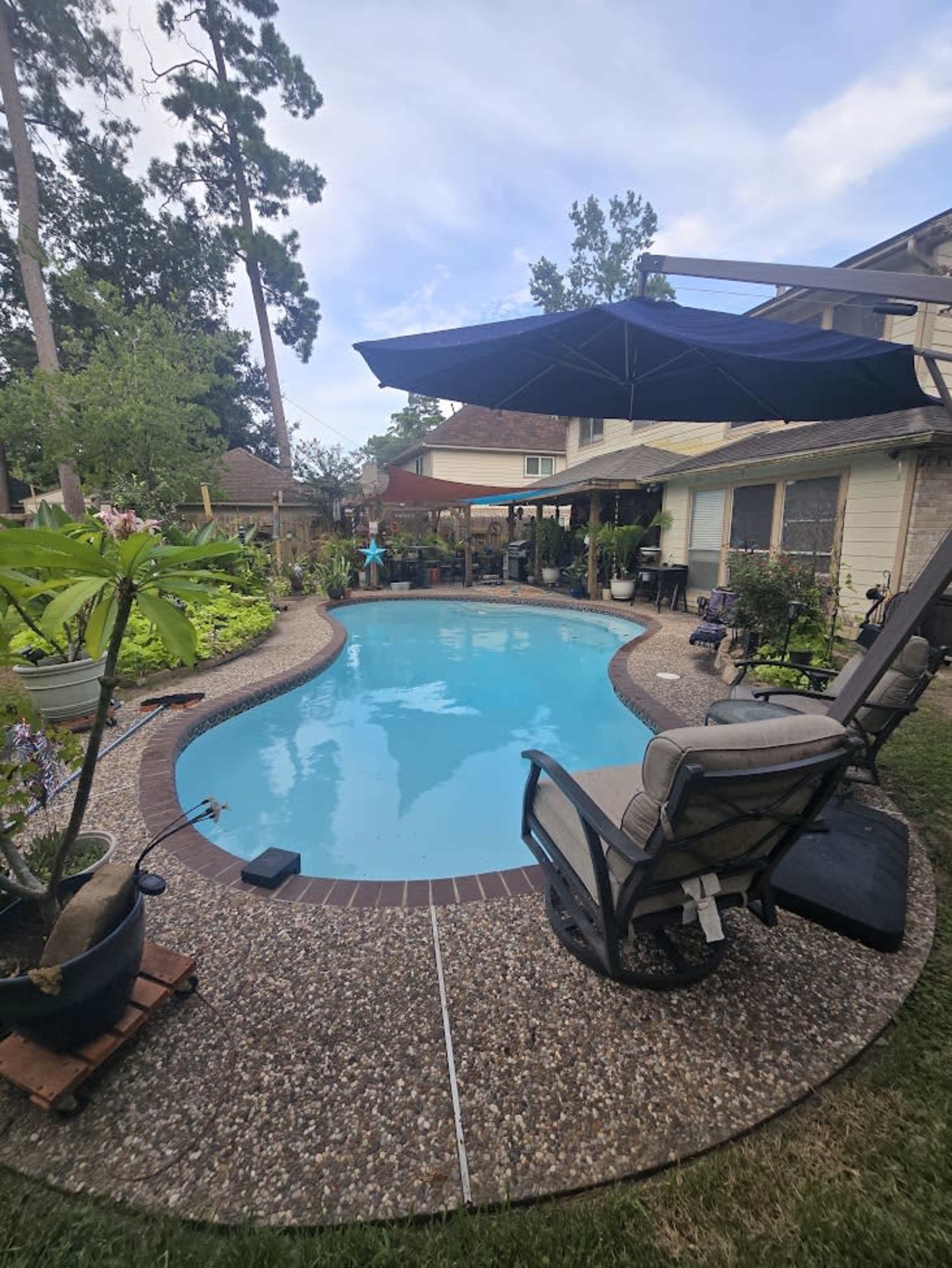 The image shows a backyard with a swimming pool surrounded by lounge chairs and greenery.