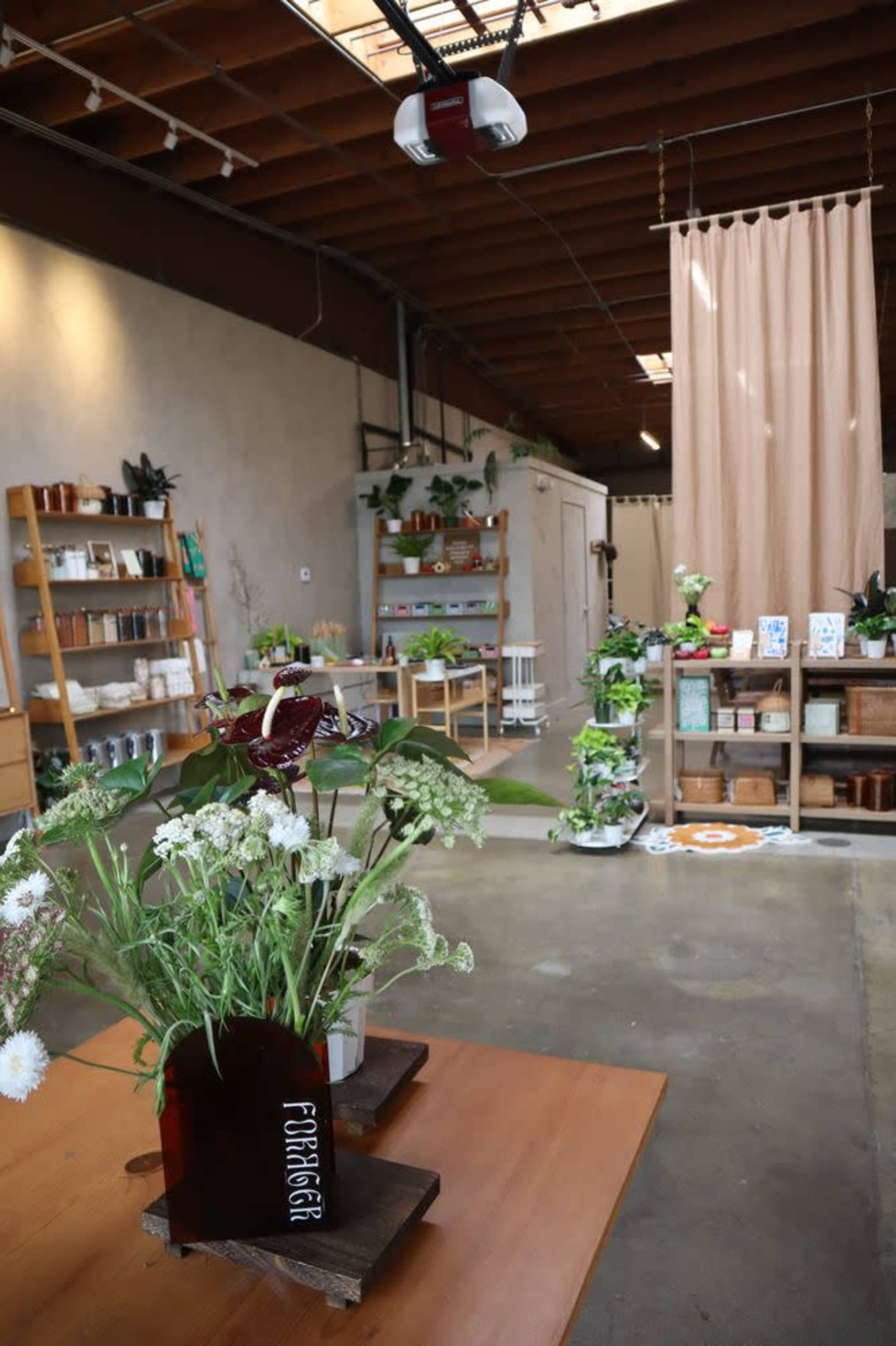 Nature-Inspired Art Studio Along the LA River Image in Elysian Valley, Los Angeles, CA