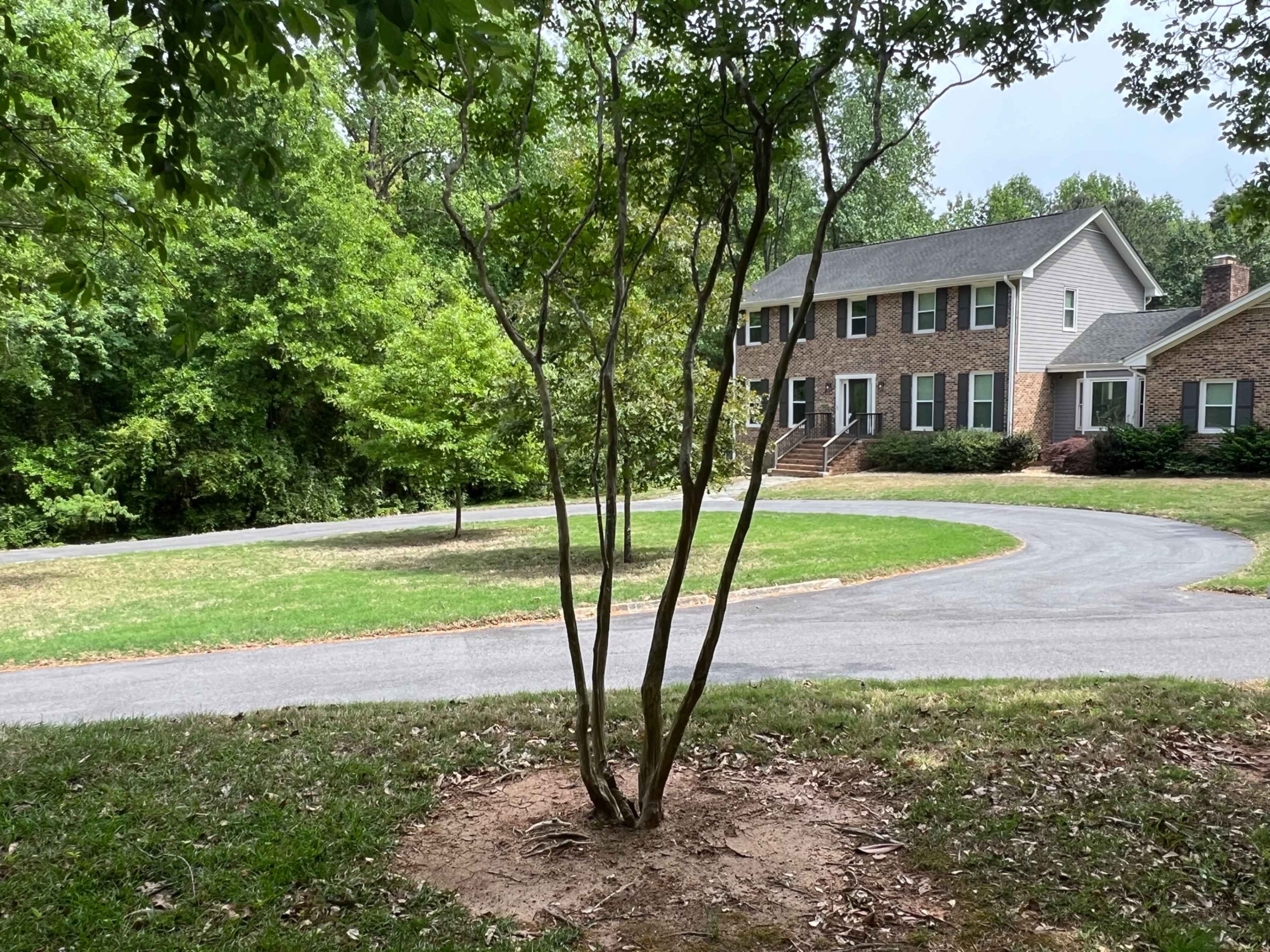 A young tree stands in the foreground while a two-story brick house and a winding driveway are visible in the background.