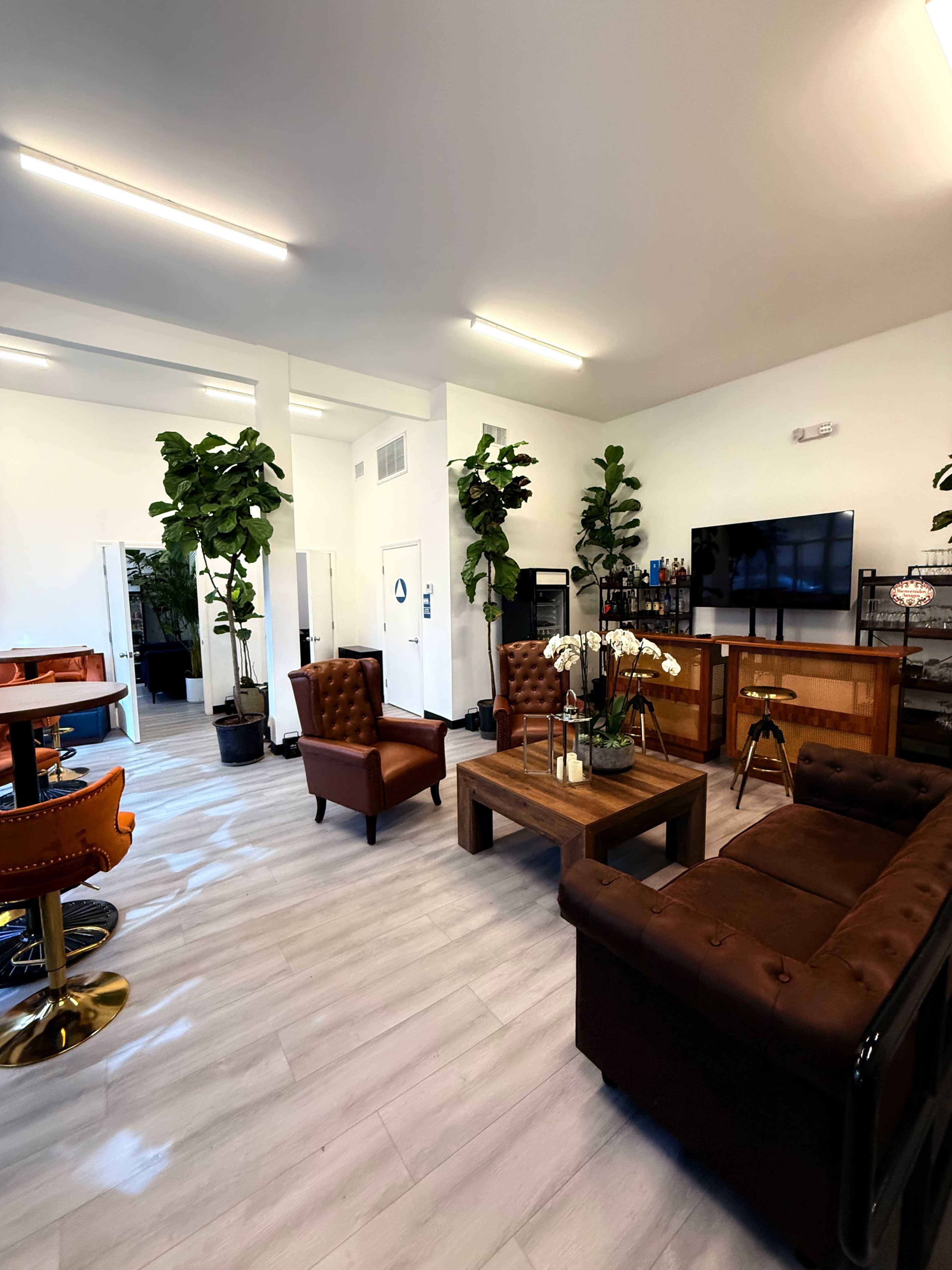 The image shows a modern, well-lit lounge area with brown leather seating, a wooden coffee table, and potted plants, along with a television and a bar-height table.