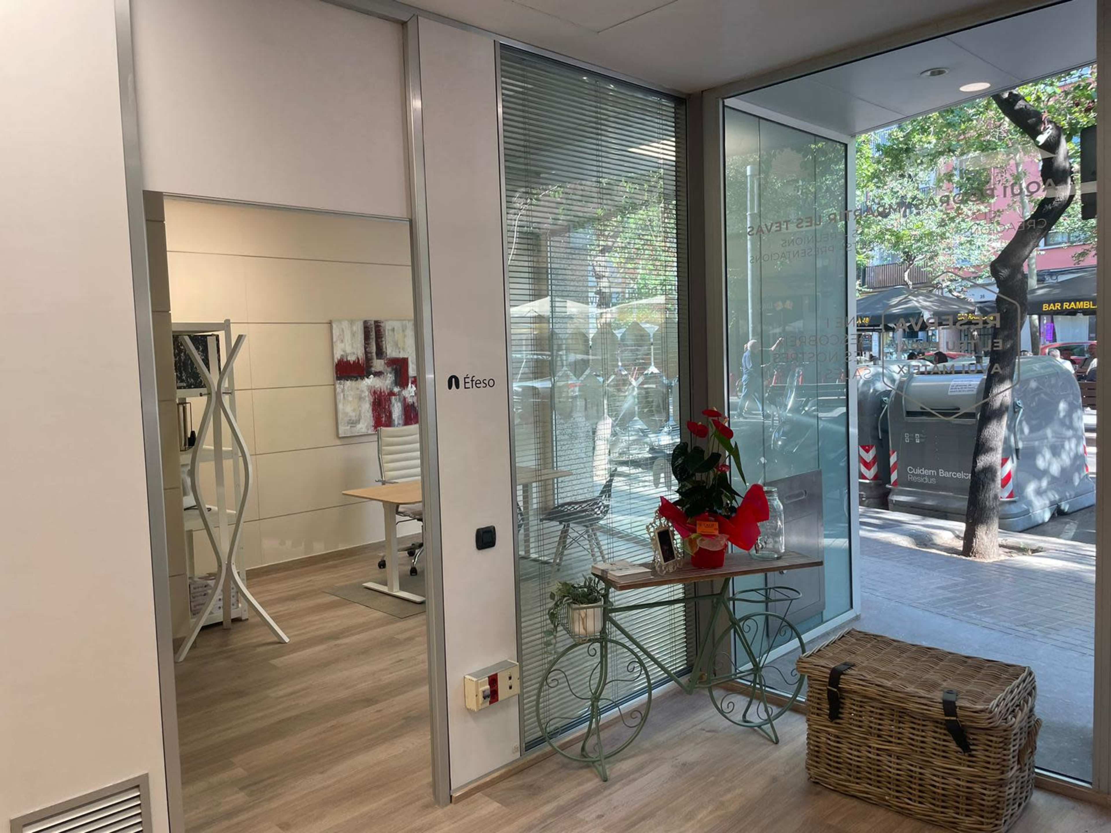 A modern office space with glass walls, featuring a small reception area decorated with a potted plant and a wicker basket, and a view of a street outside.