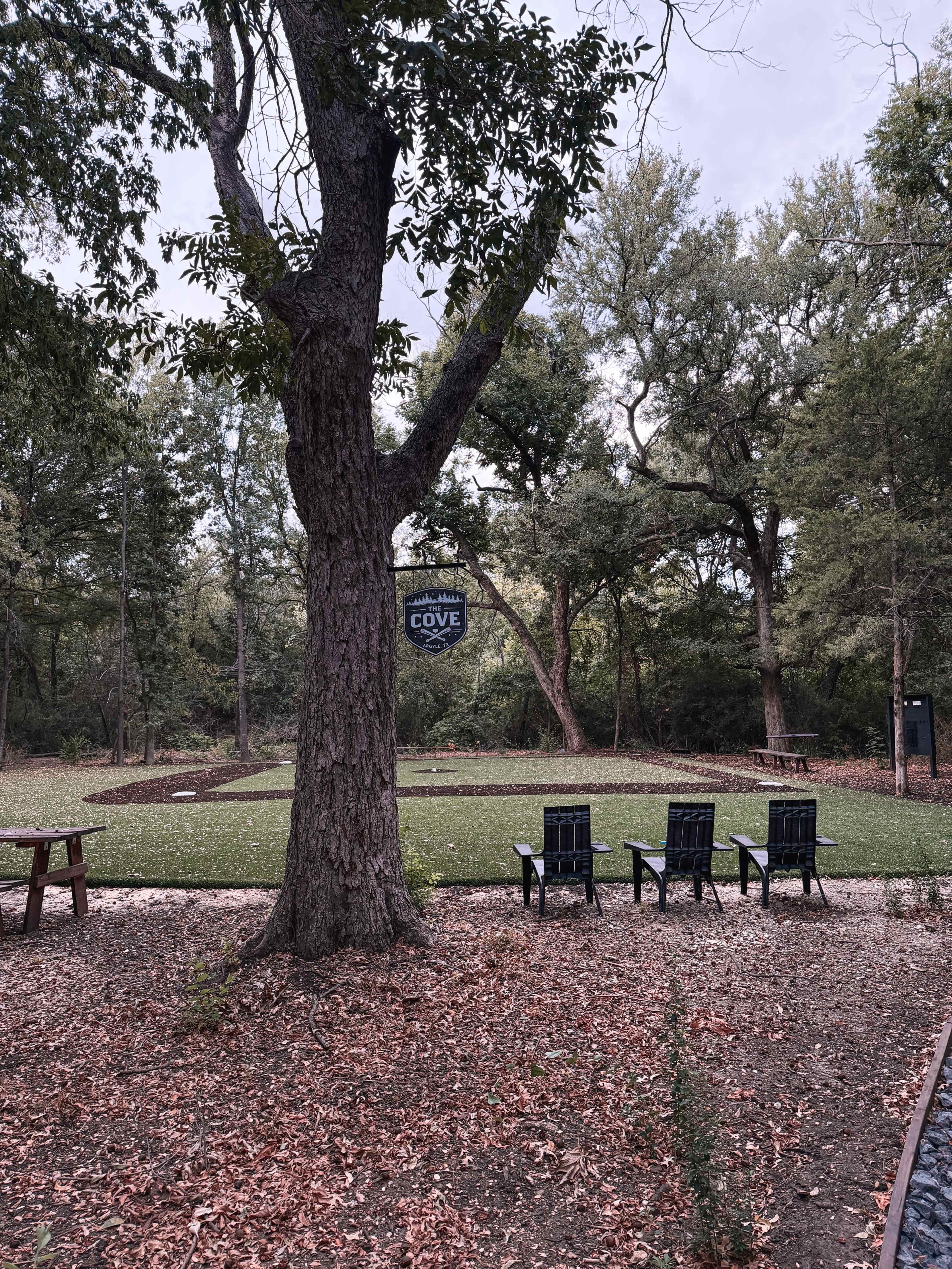 Private Backyard Turf Baseball Field in the Woods Image in Denton, Argyle, TX