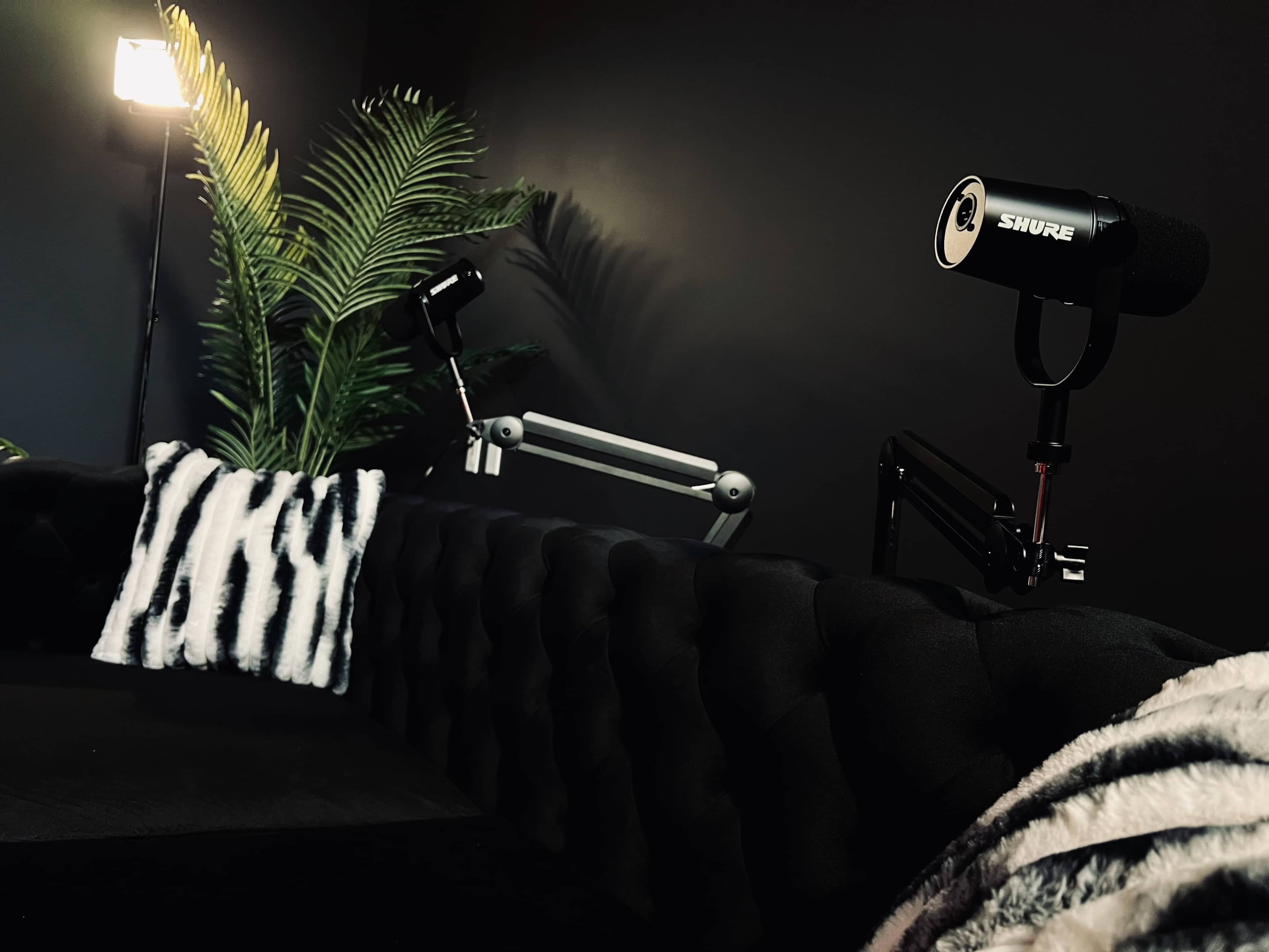 A black sofa with a striped pillow, two microphones mounted on arms, and a spotlight next to a leafy plant against a dark background.