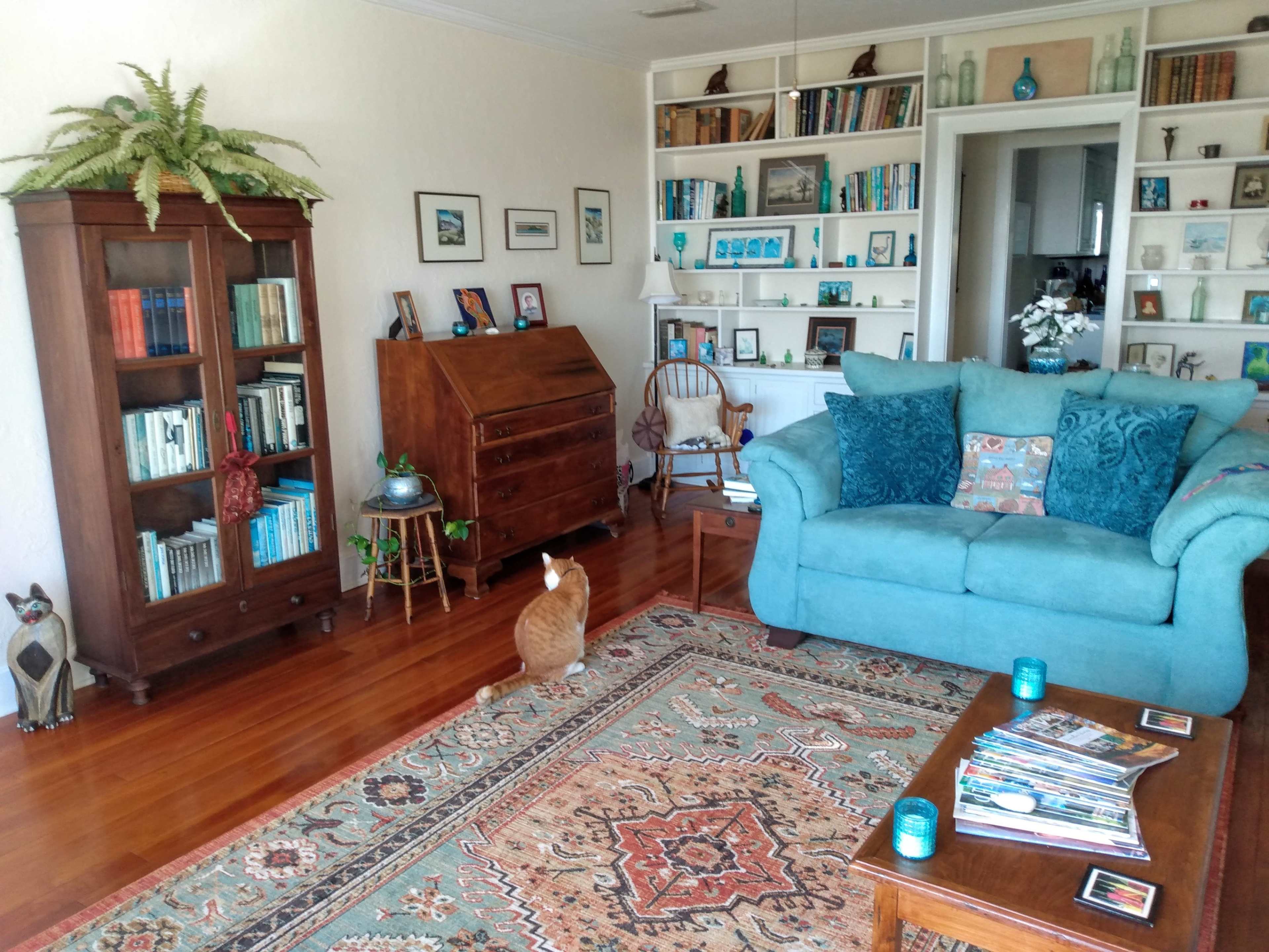 The living room features a blue couch, wooden furniture, a bookshelf filled with books, and a cat resting on the patterned rug.