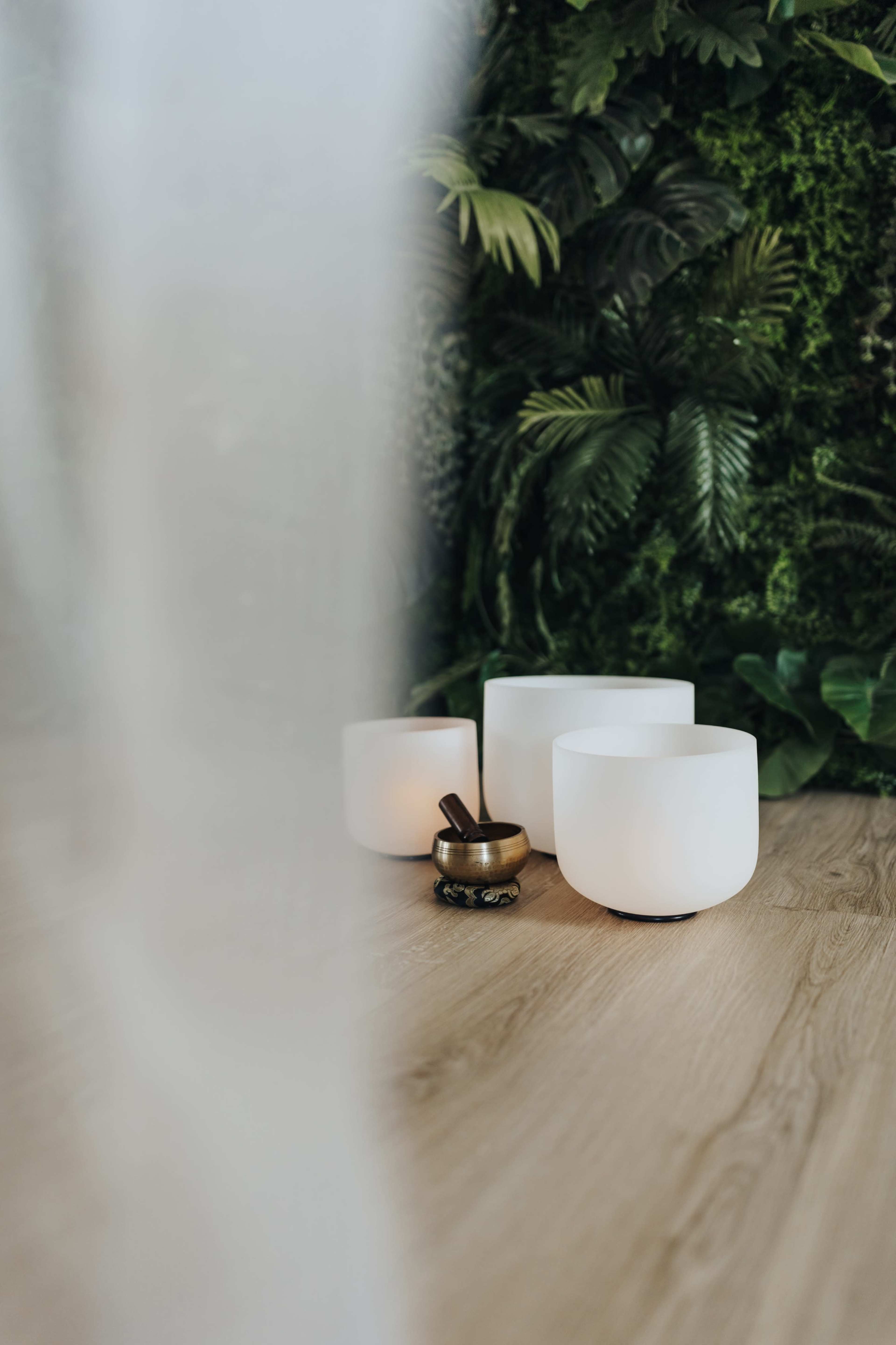 Three white bowls and a small bronze bowl are arranged on a wooden surface, surrounded by lush green foliage.