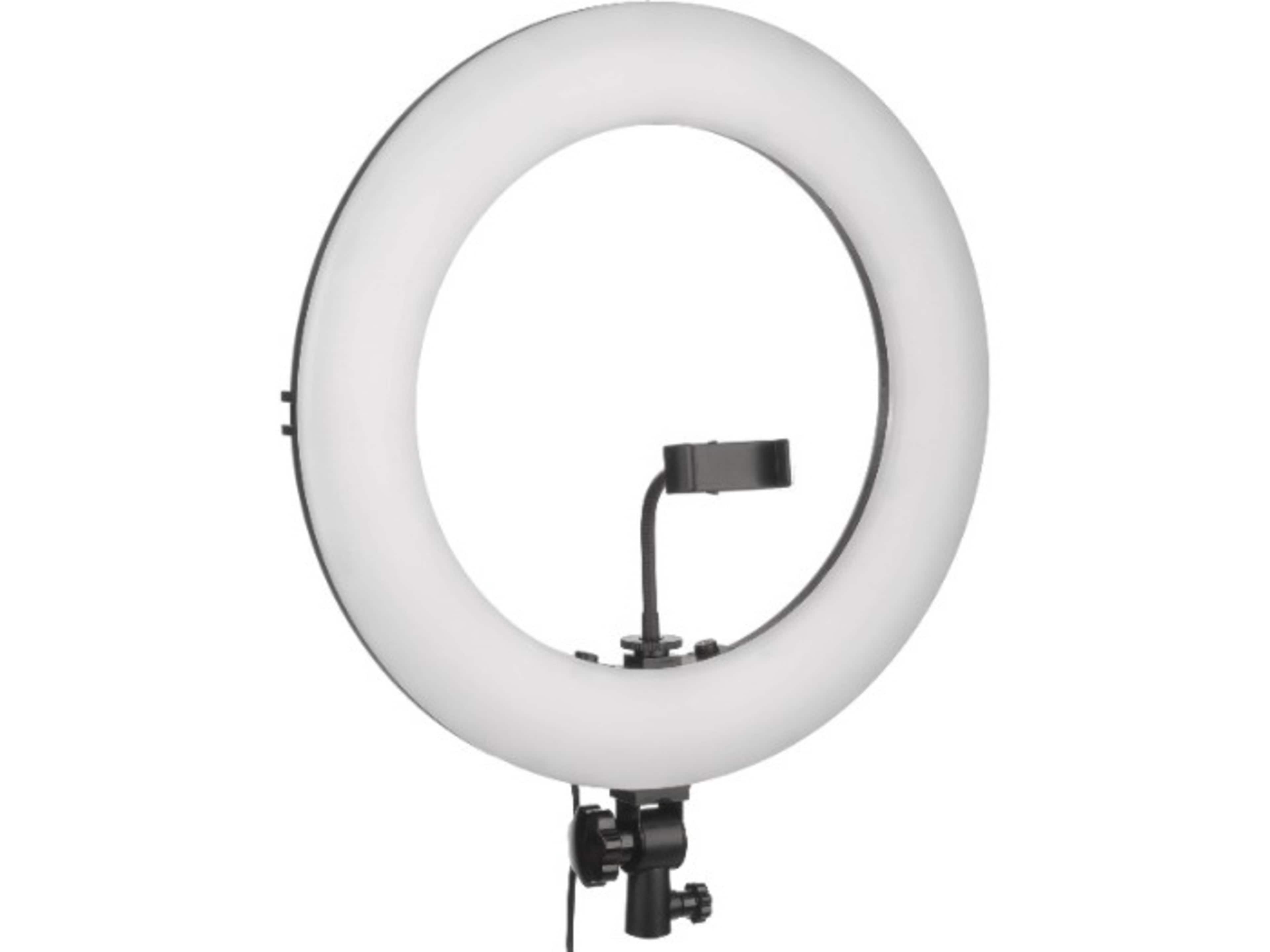 20 Inch Portable LED Ring Light with Stand