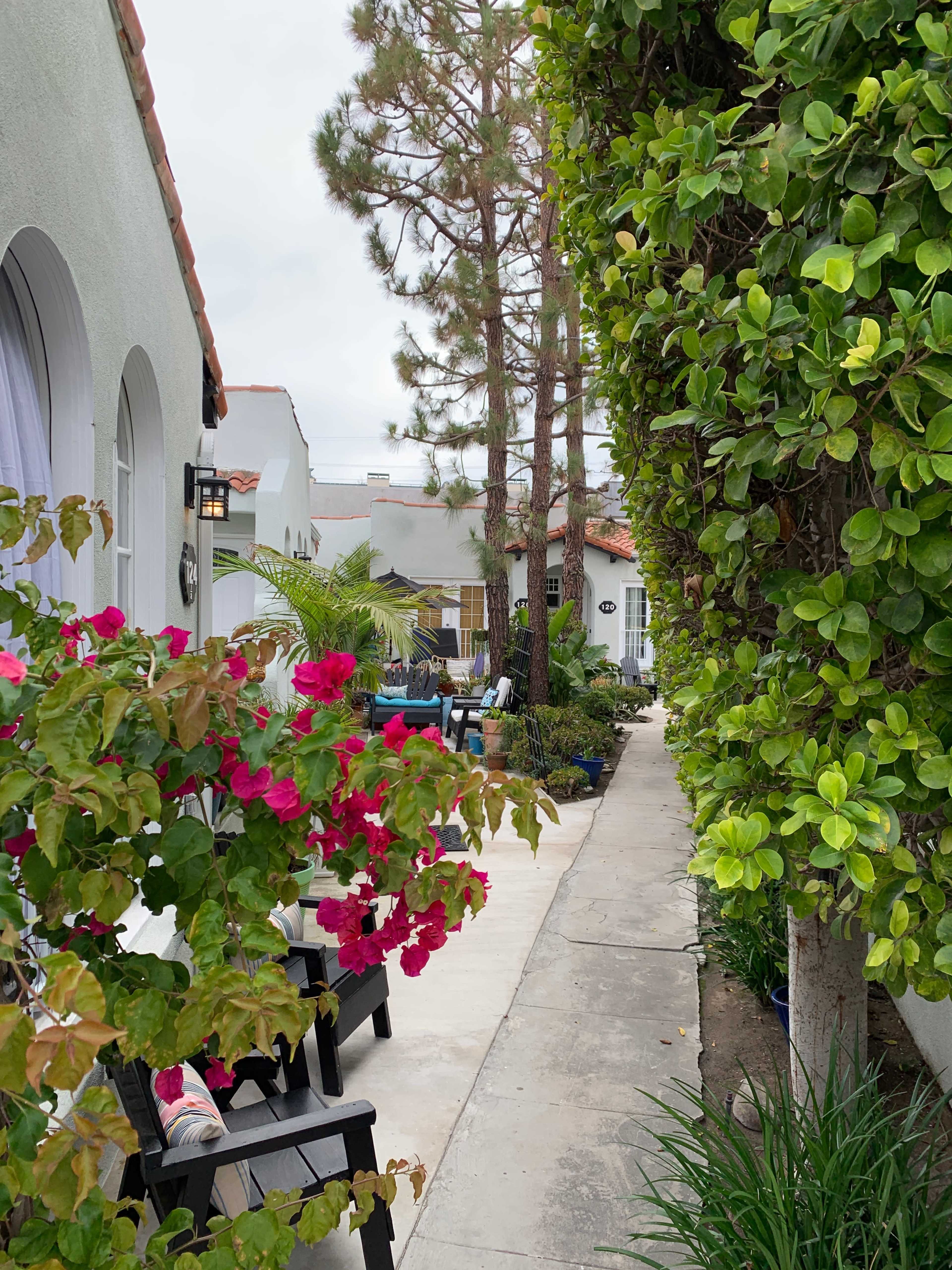 A stone pathway lined with greenery and colorful flowers leads to a series of buildings in a residential area.