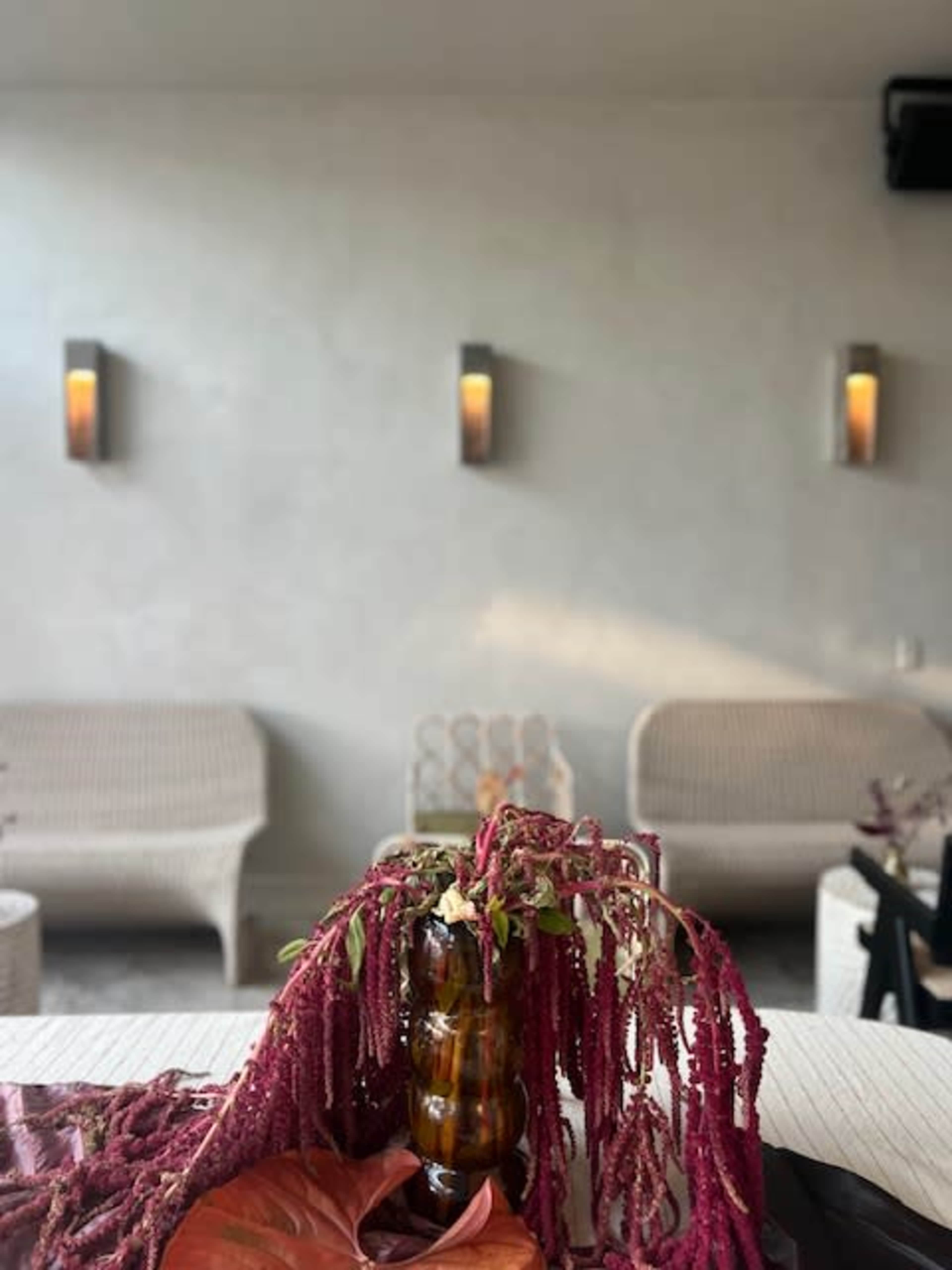 The image shows a minimalist interior featuring two light sconces on a textured wall, with a decorative vase filled with trailing plant and leaves on a table in the foreground.