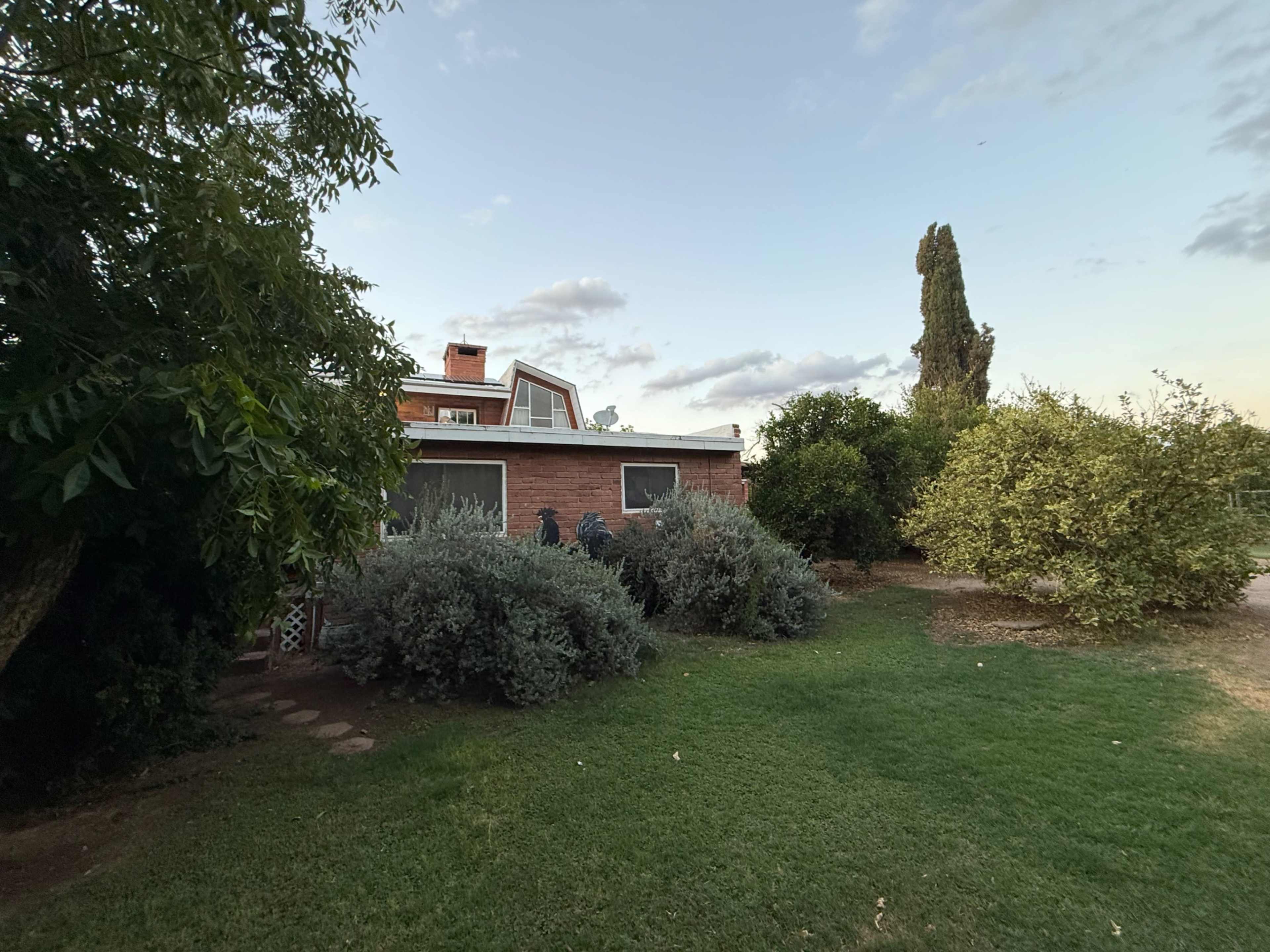 Jewell groves Image in Chandler Heights Citrus, Queen Creek, AZ