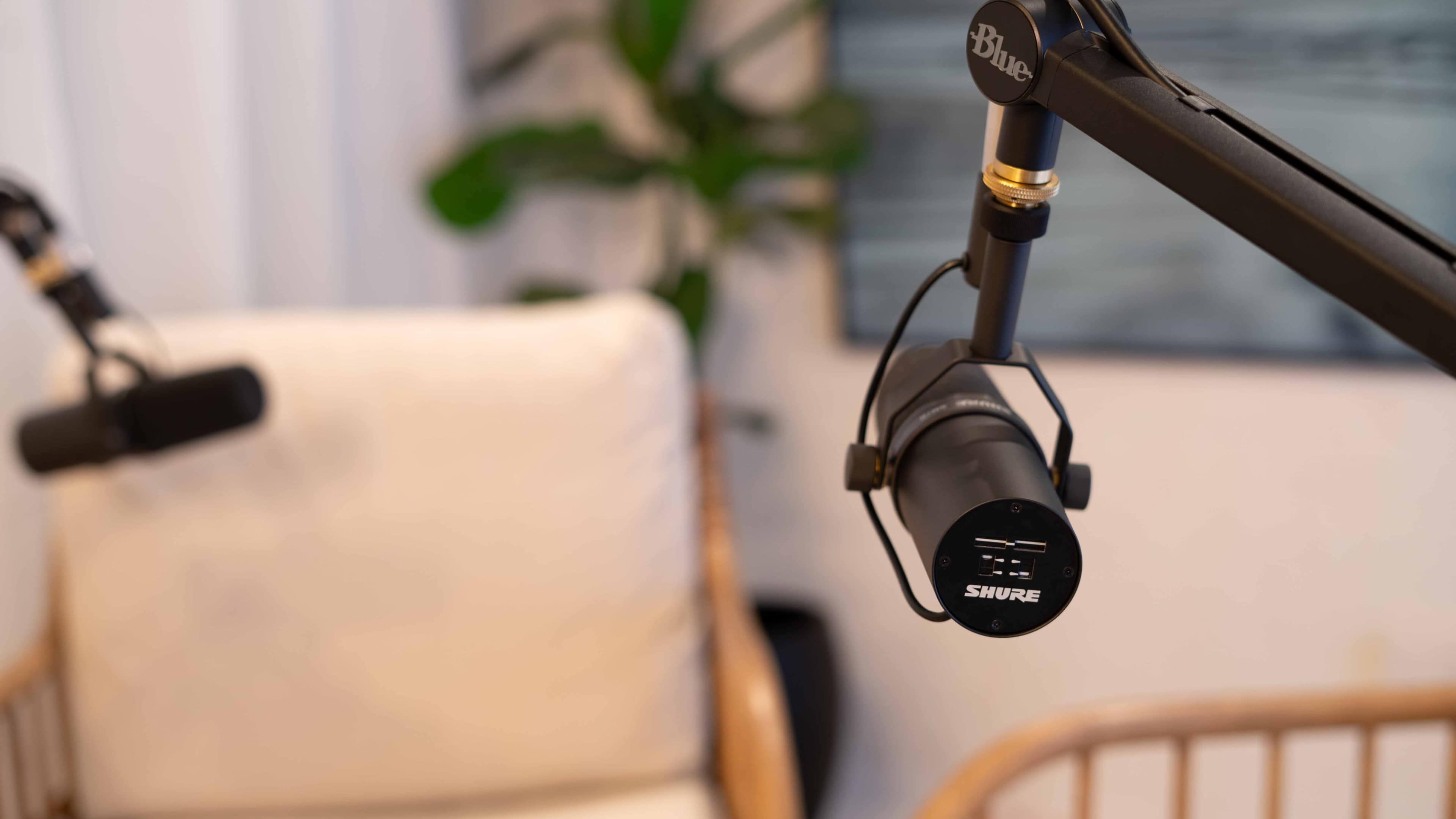A Shure microphone mounted on a flexible arm, with a soft chair and a green plant in the background.