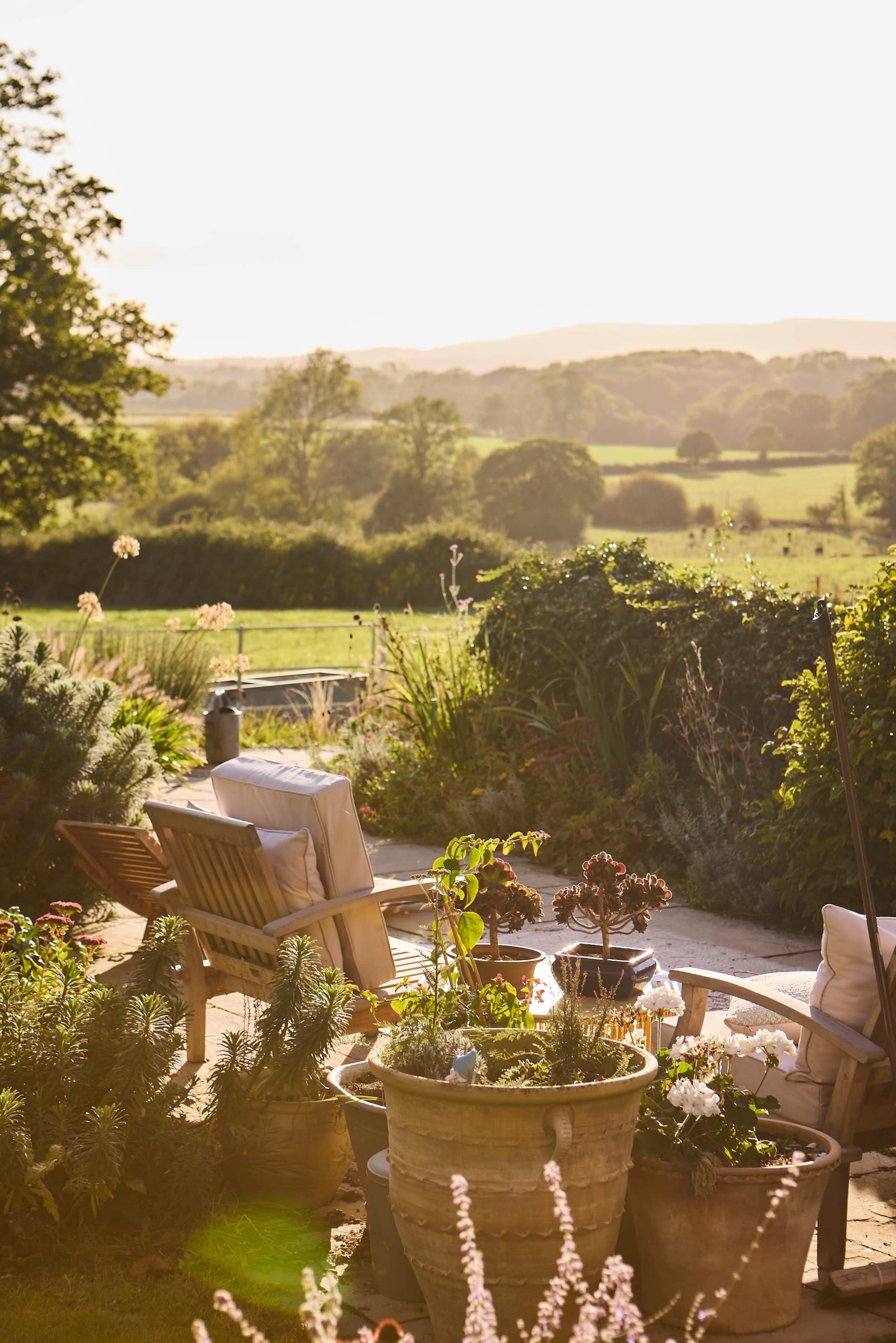 A garden patio features two wooden lounge chairs surrounded by potted plants and a scenic view of rolling hills in the background.