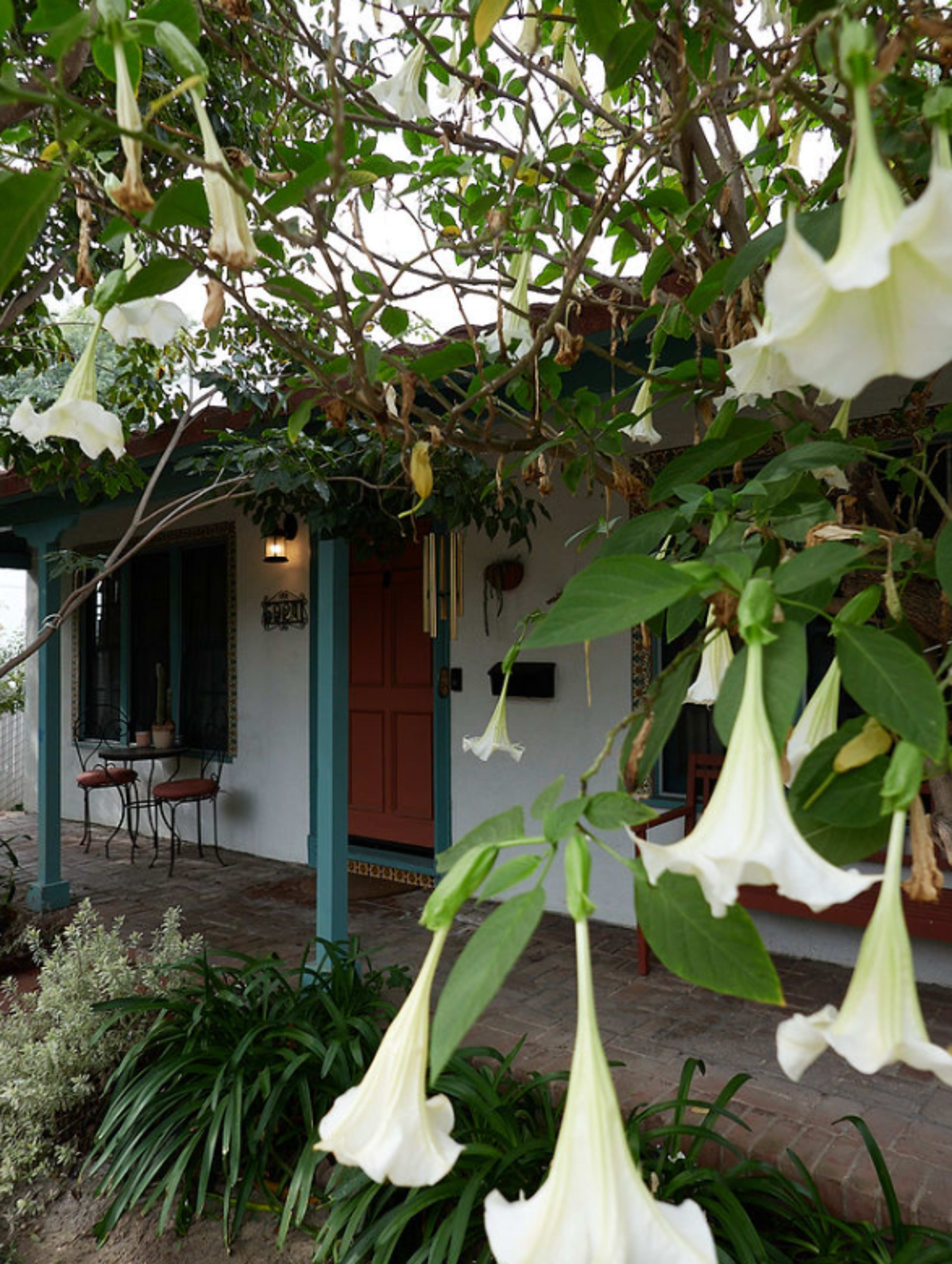 Spanish Bungalow perfect for wellness retreats and special celebrations Image in Valley Glen, Valley Glen, CA