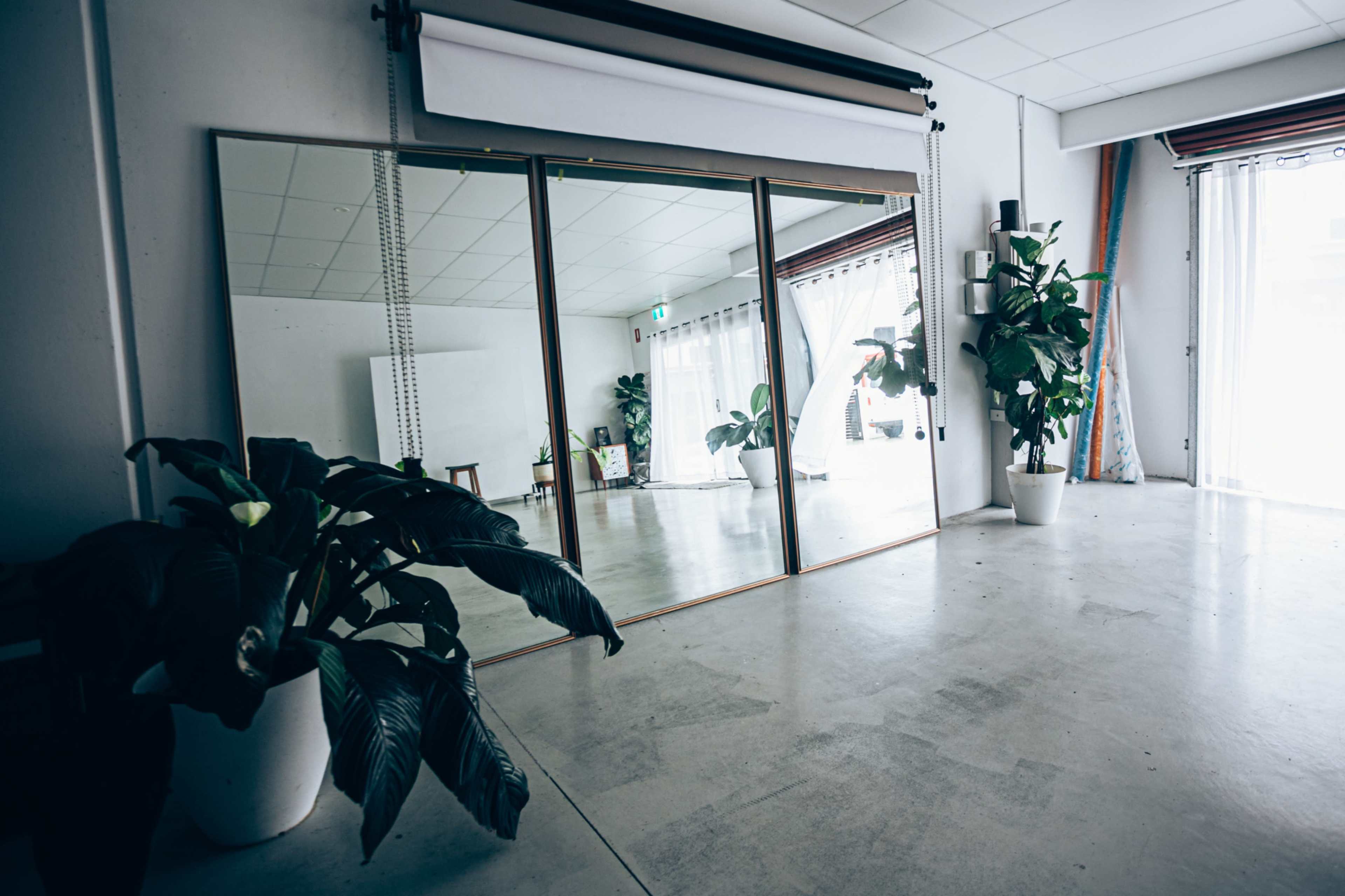 The image shows a spacious room with large mirrors on one wall, plants in white pots, and natural light coming through a window.
