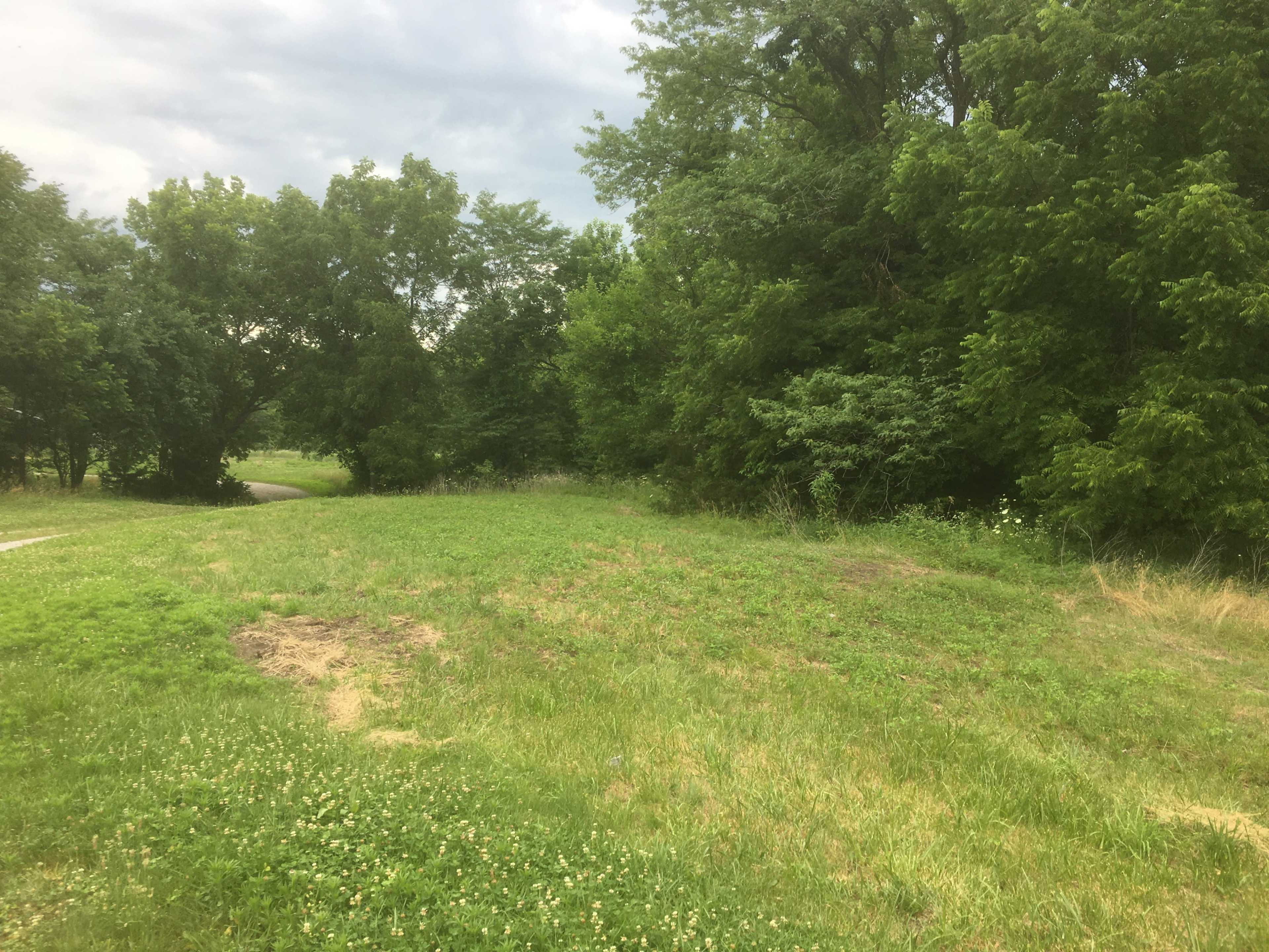 The image shows a grassy area bordered by trees, leading to a path in the distance.