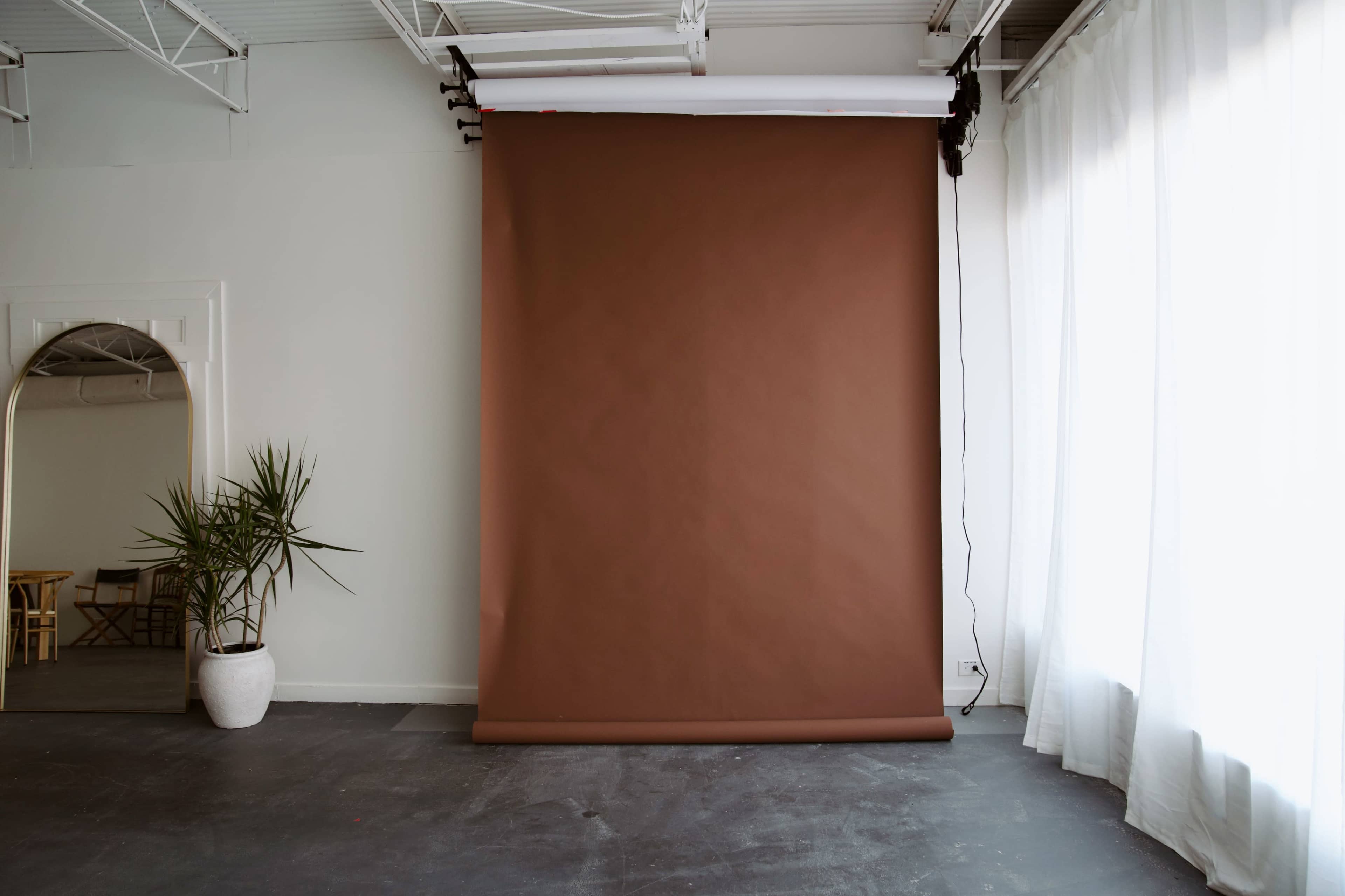 The image shows a minimalistic studio space featuring a large brown backdrop, a potted plant, and sheer white curtains.