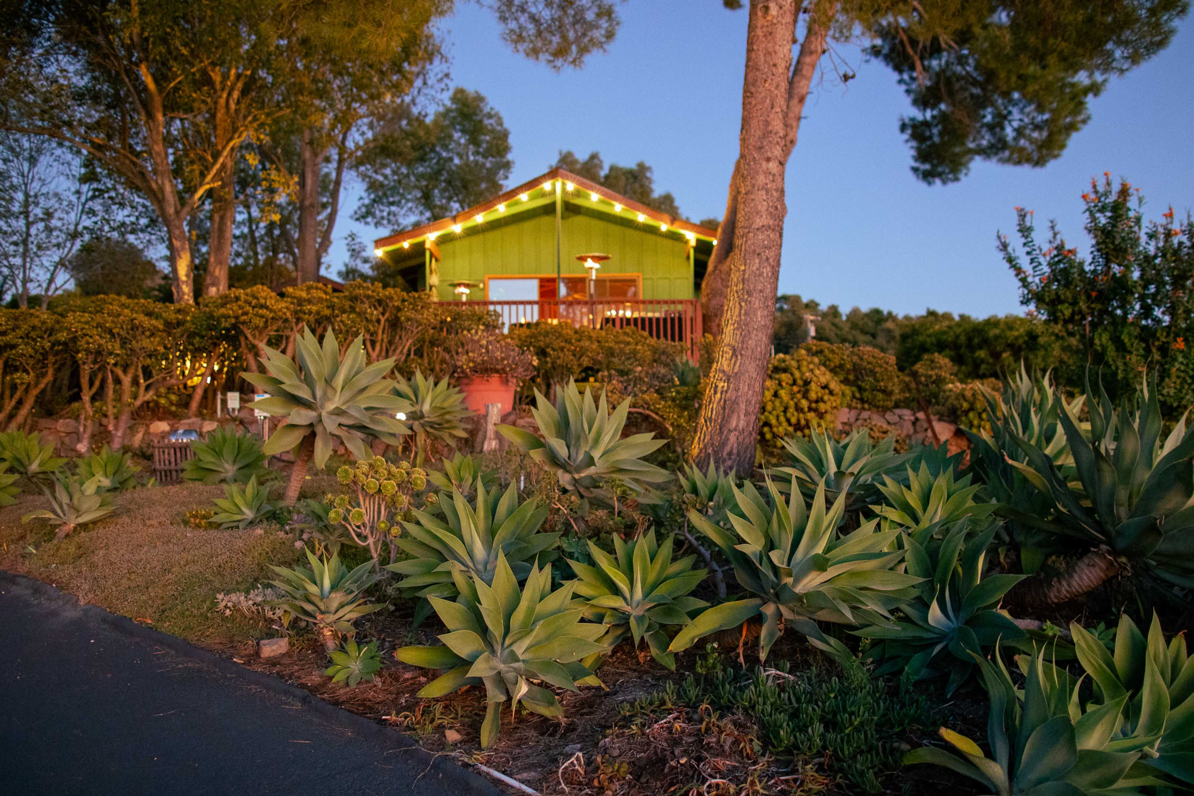 A green house with lights is situated on a hillside, surrounded by various succulent plants and trees at dusk.
