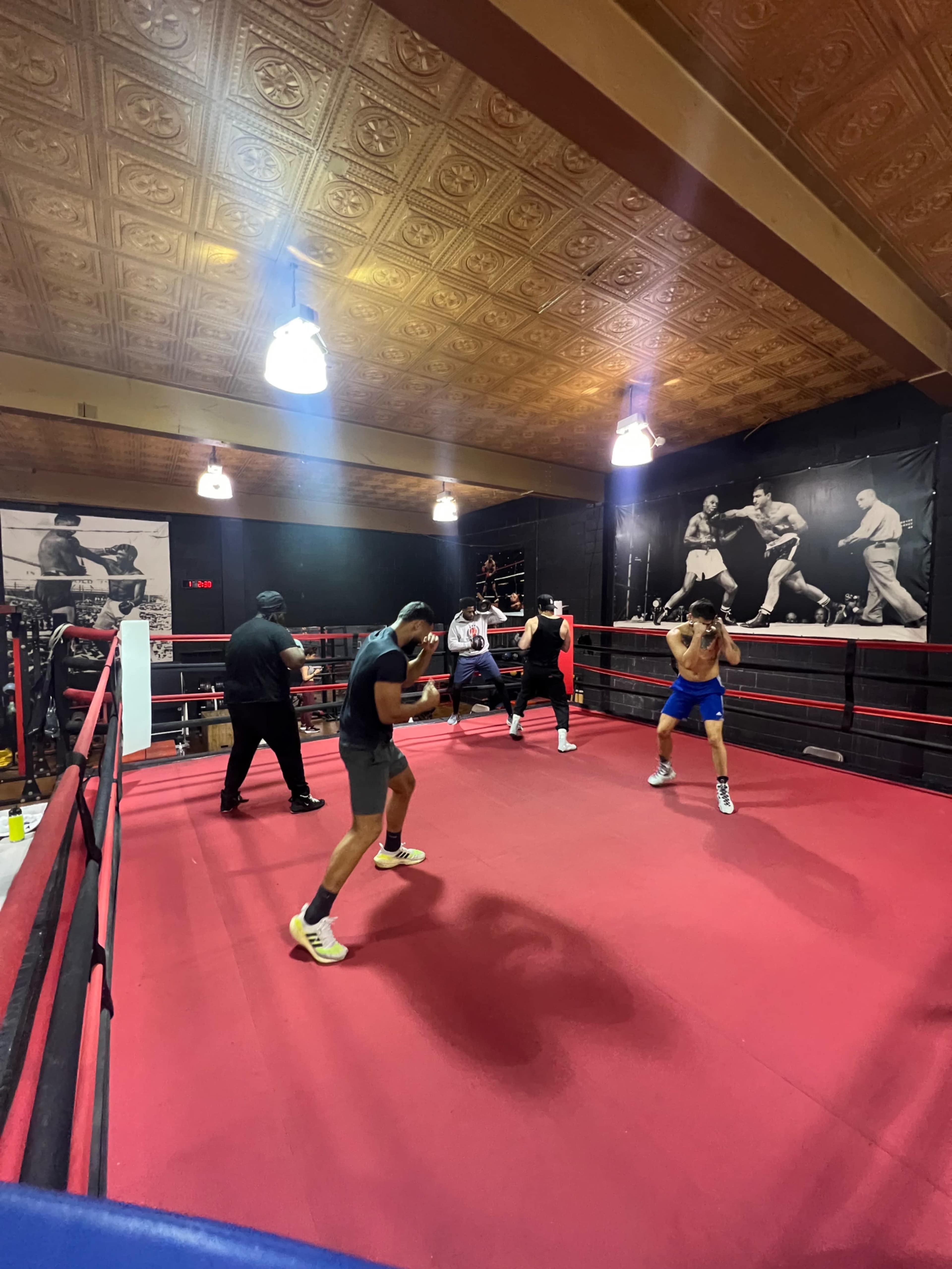 Five boxers are practicing in a red boxing ring, surrounded by training equipment and wall murals depicting historical boxing scenes.