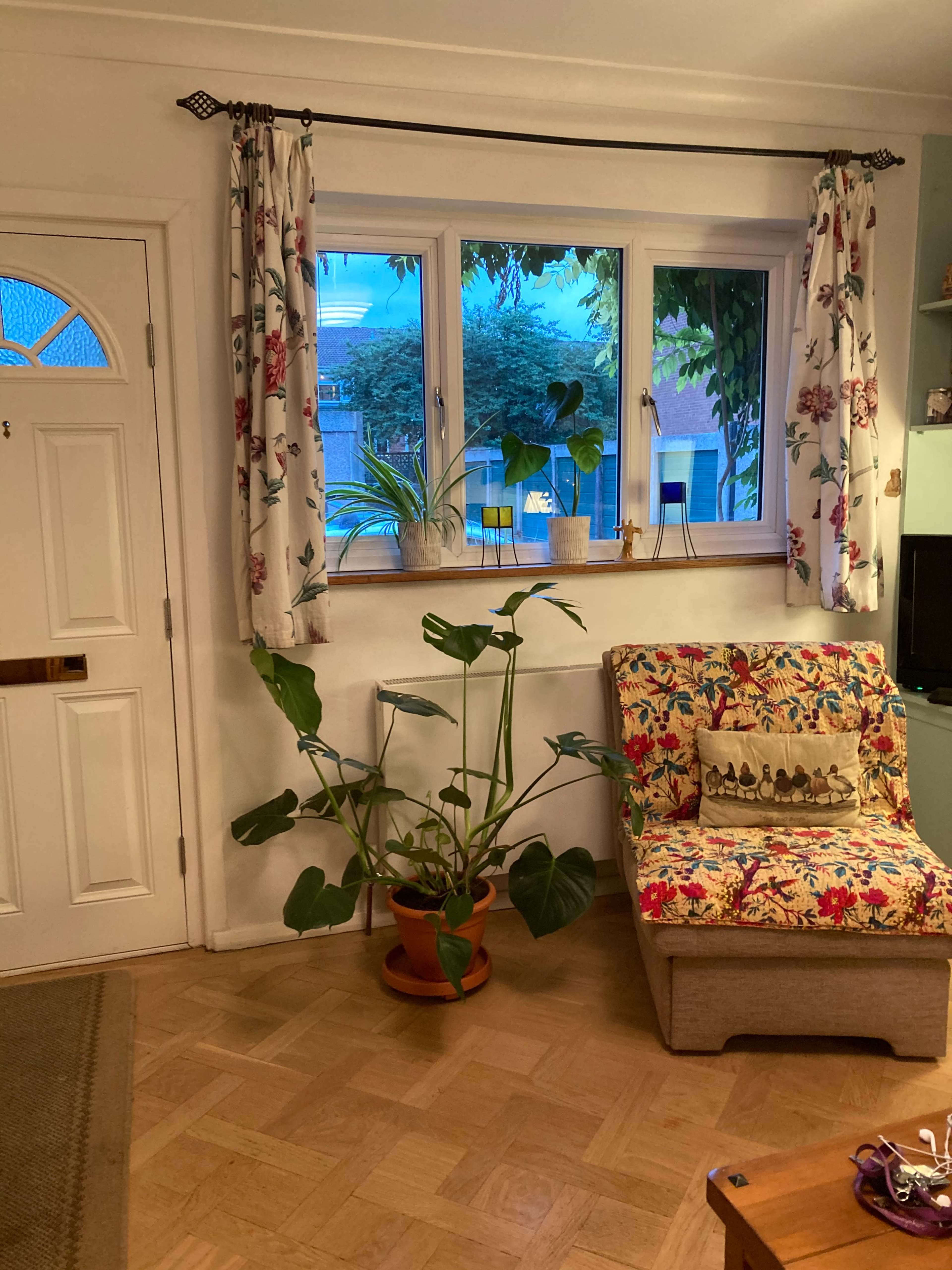 A cozy living room corner features a patterned chair beside a potted plant, with large windows covered by floral curtains.