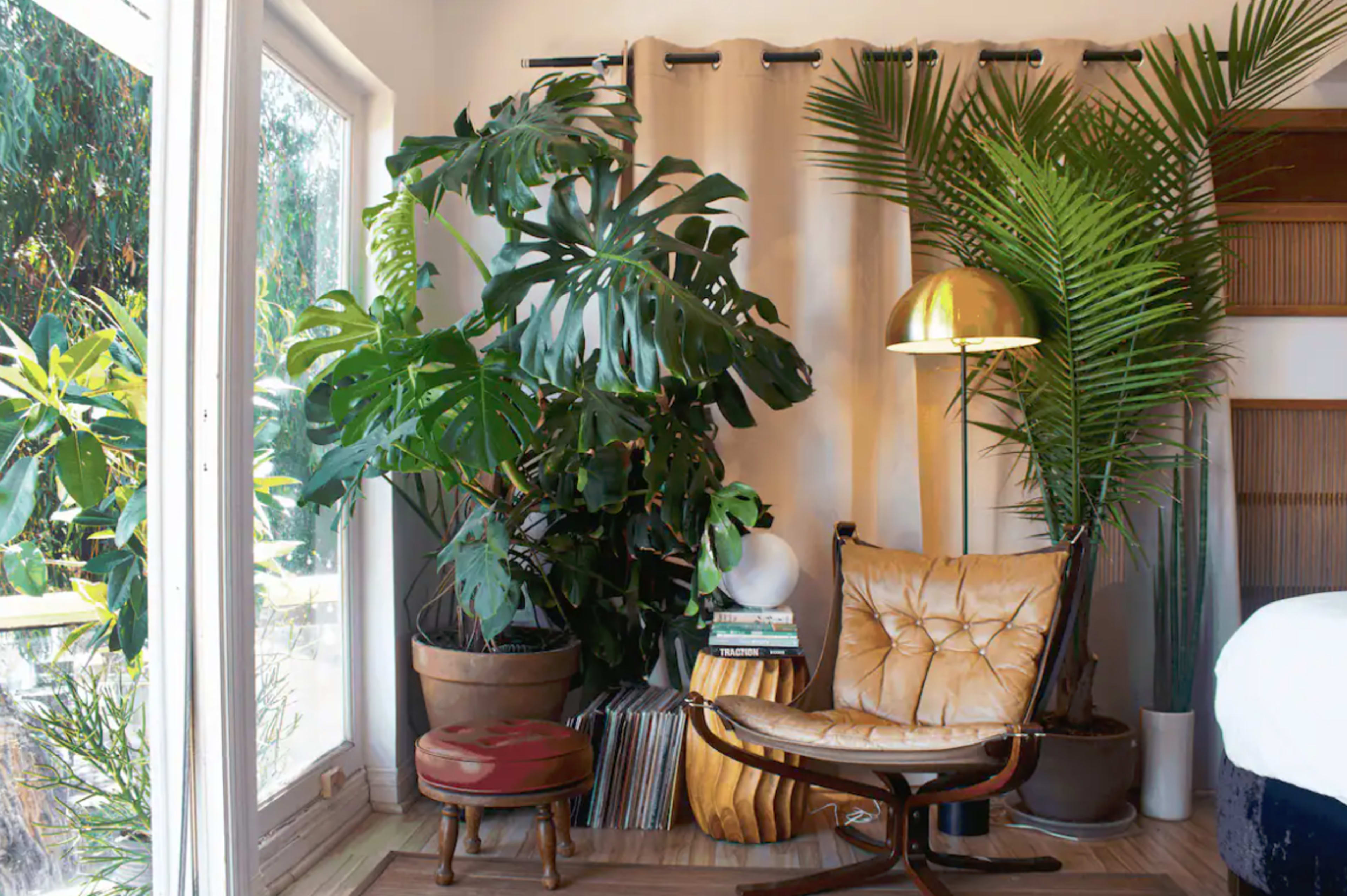 A cozy corner features a leather chair next to tall indoor plants, a gold floor lamp, and a small table stacked with books and a globe.