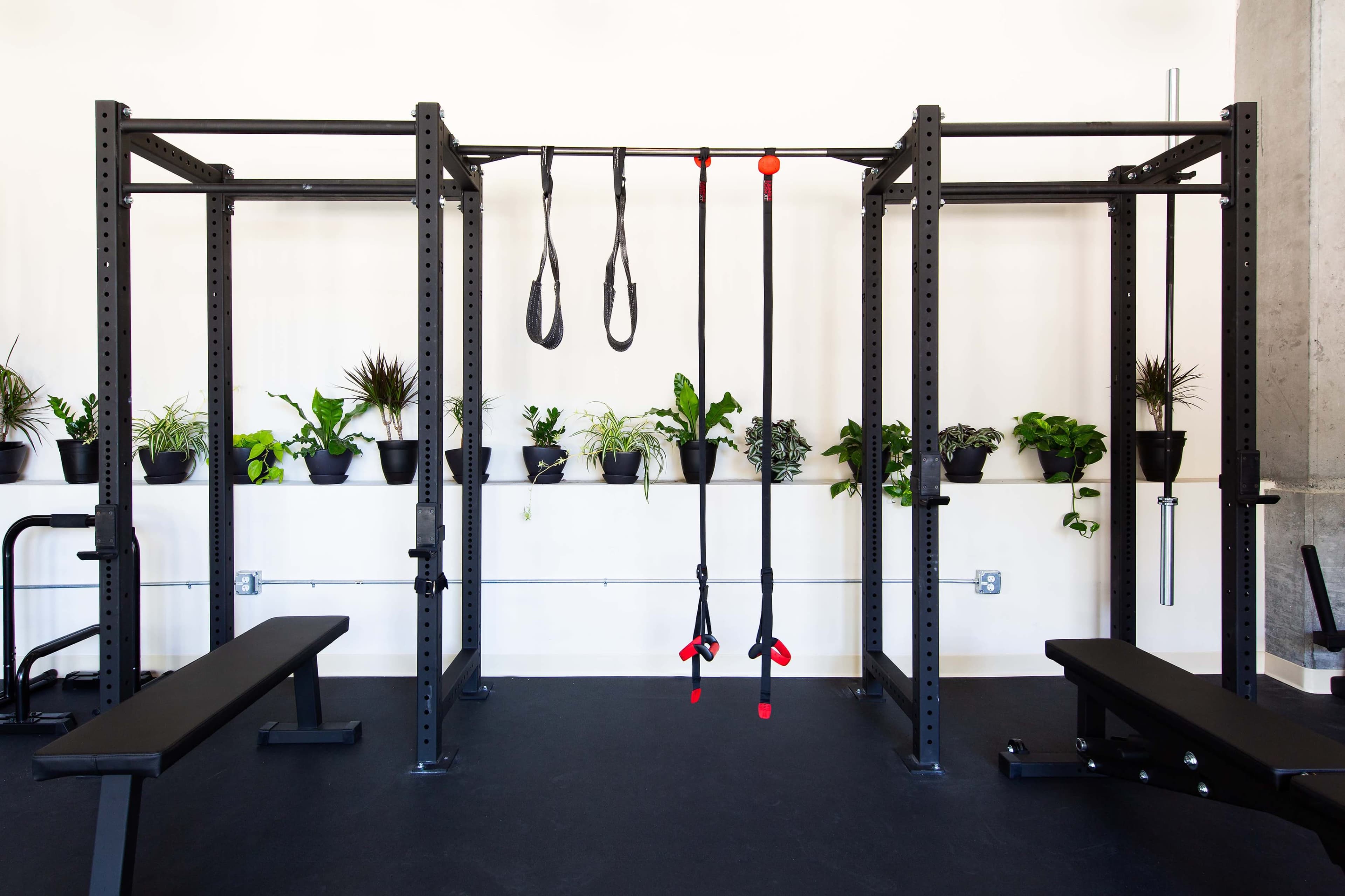 A well-equipped gym space featuring a black rack with suspension straps and benches, surrounded by potted plants mounted on the wall.