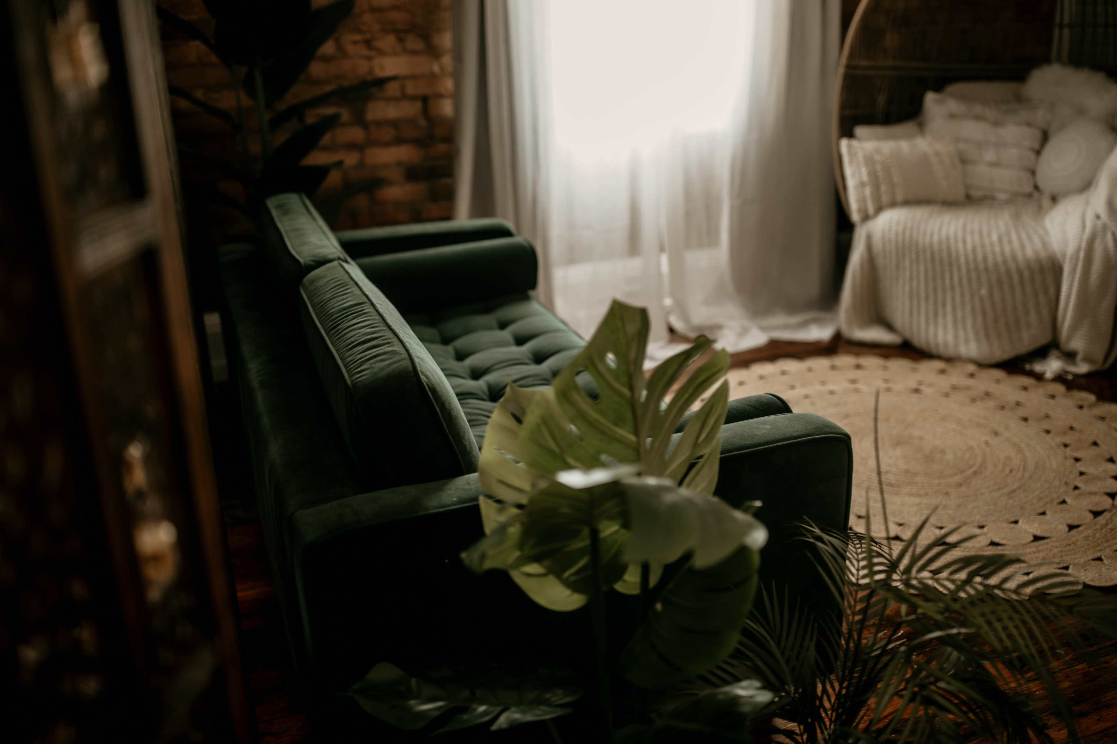 Photography Loft Studio with Natural Lighting, Exposed Brick, and Original Hardwood Floors. **Two Hour Minimum** Image in Honea Path, Honea Path, SC