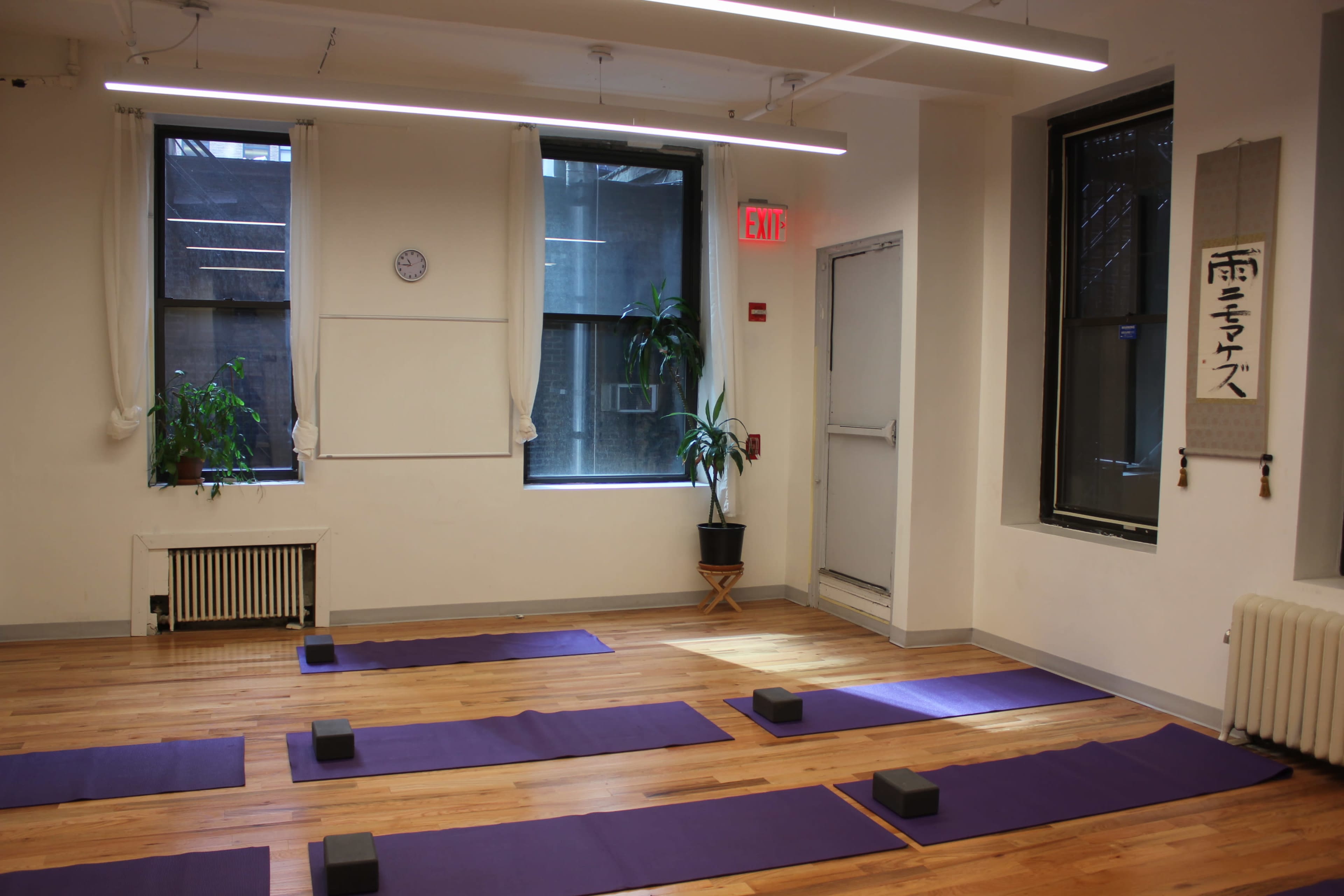 A yoga studio with purple mats arranged on a wooden floor, near windows with natural light and a plant in the corner.